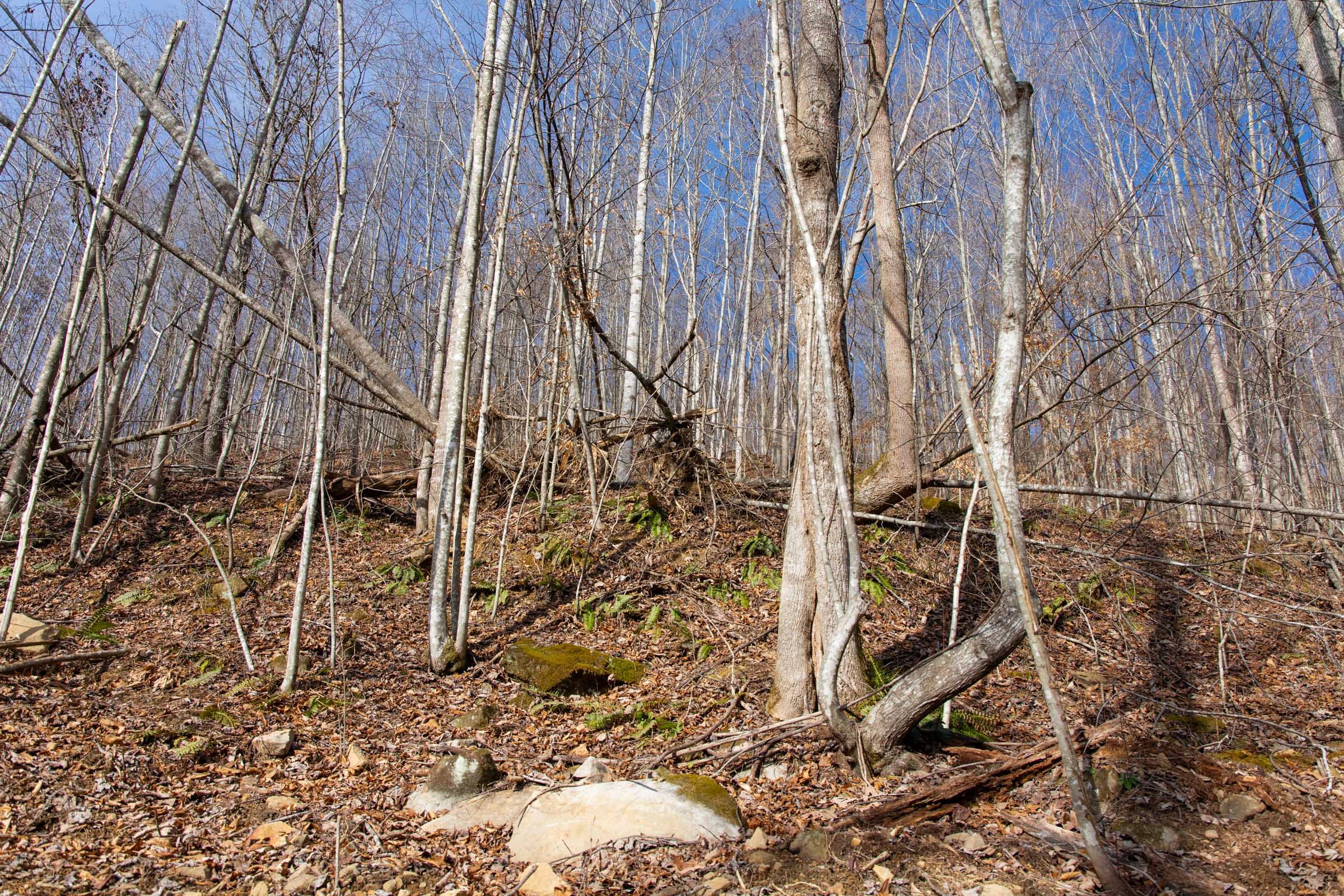 Blackstone Mountain Phase I Tract 23 photo 8
