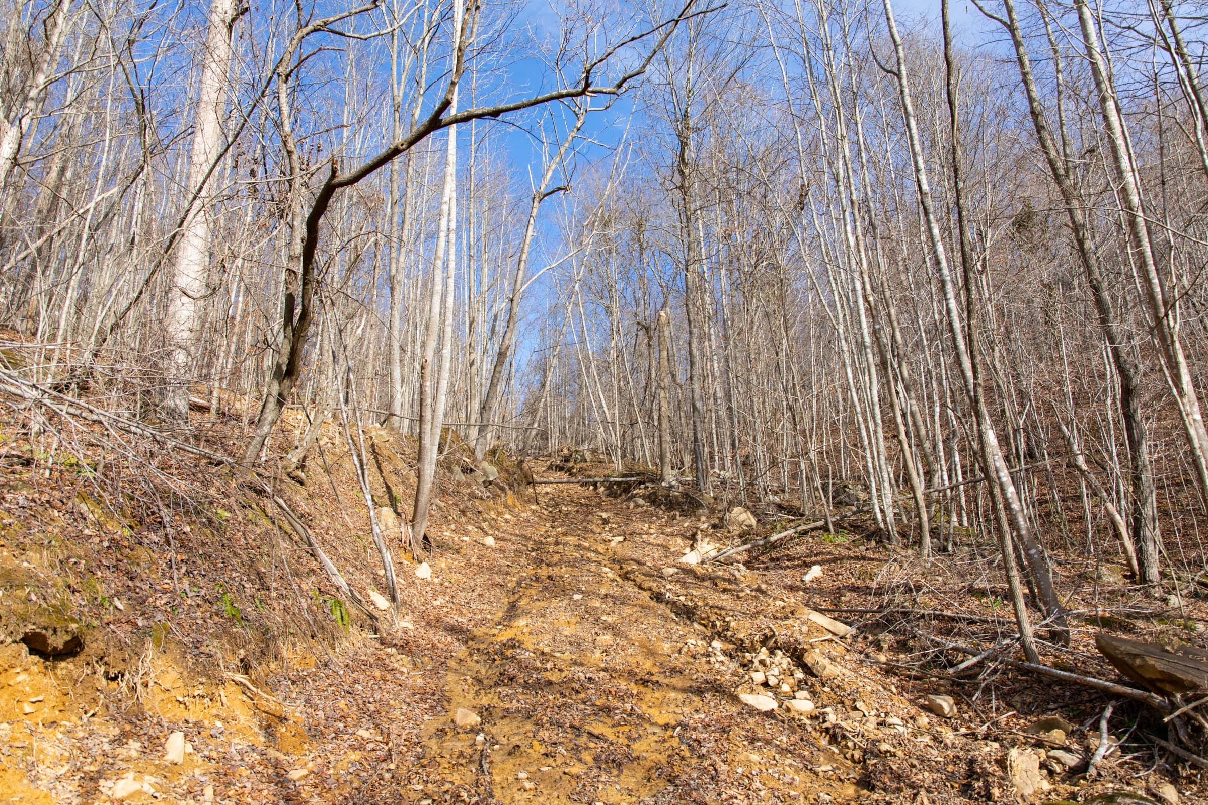Blackstone Mountain Phase I Tract 23 photo 9
