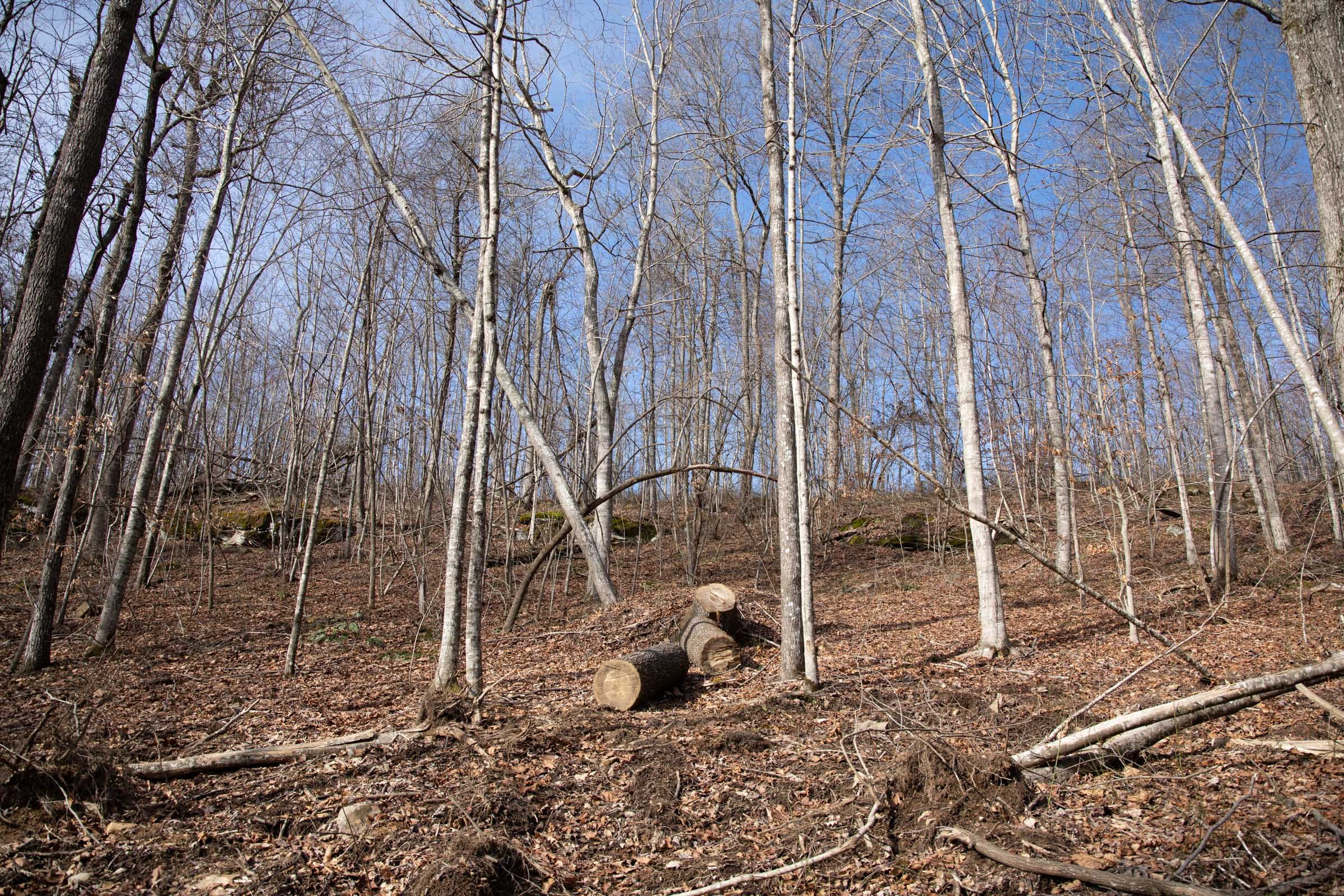 Blackstone Mountain Phase I Tract 23 photo 16