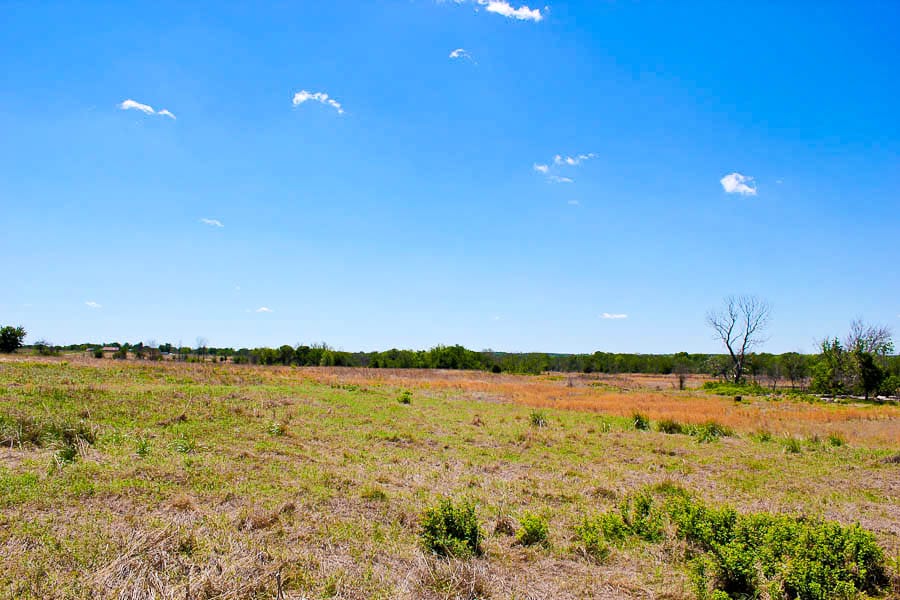 Saddlebrook Ranch Tract 5 photo 8