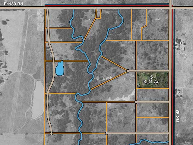 Saddlebrook Ranch Tract 5 photo 10