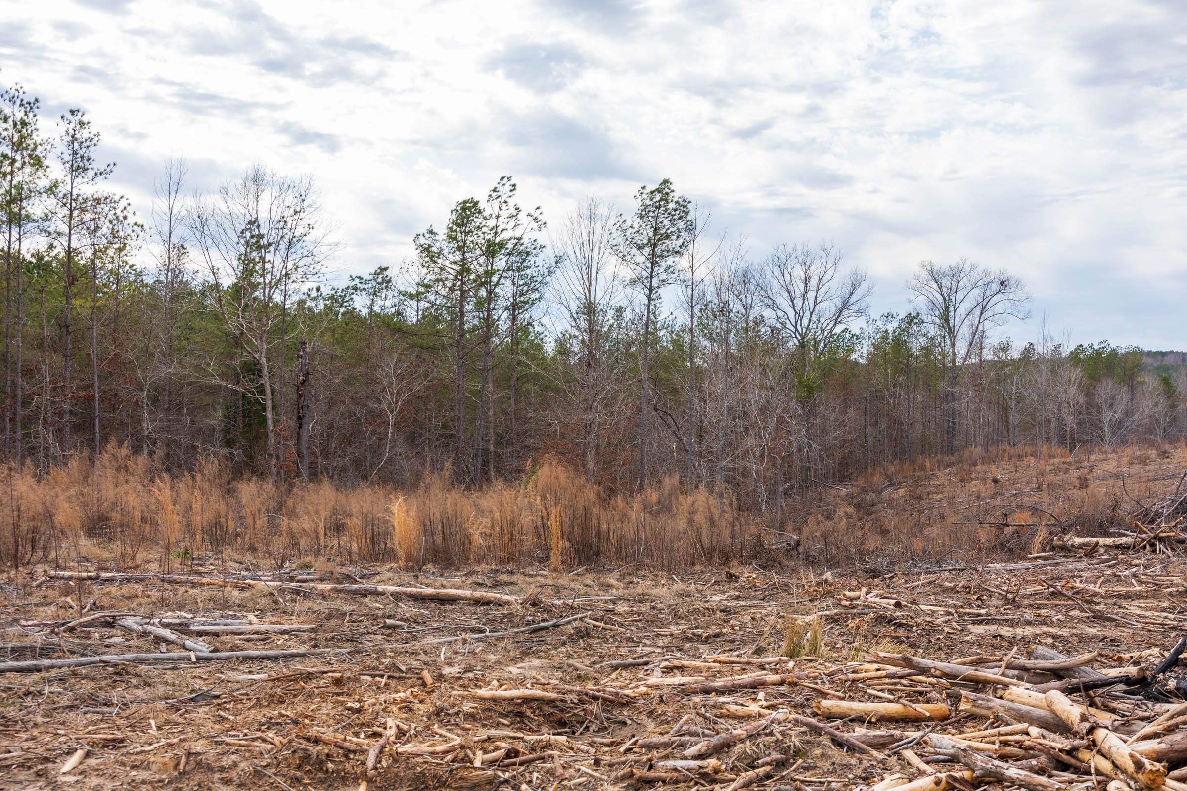 Fairview Hills Tract 10 photo 5