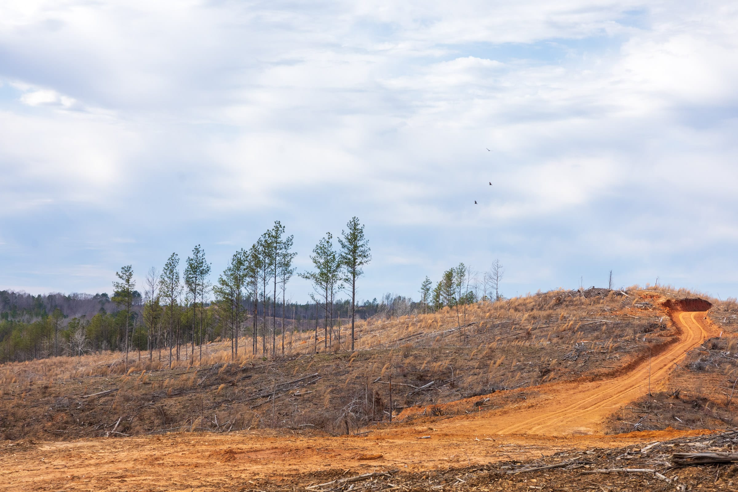 Fairview Hills Tract 10 photo 9