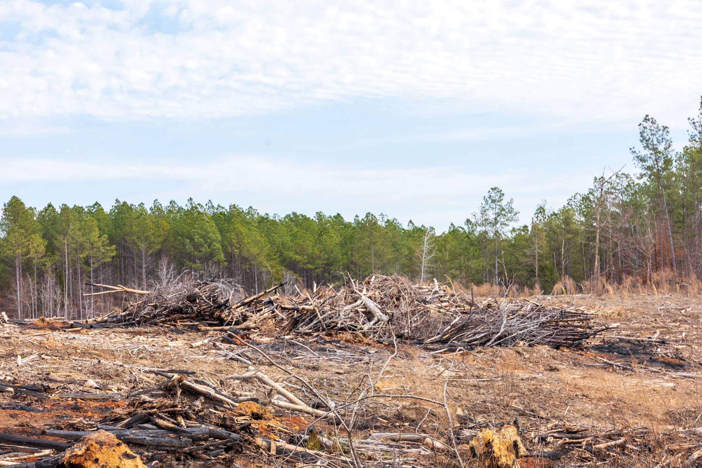 Fairview Hills Tract 10 photo 10