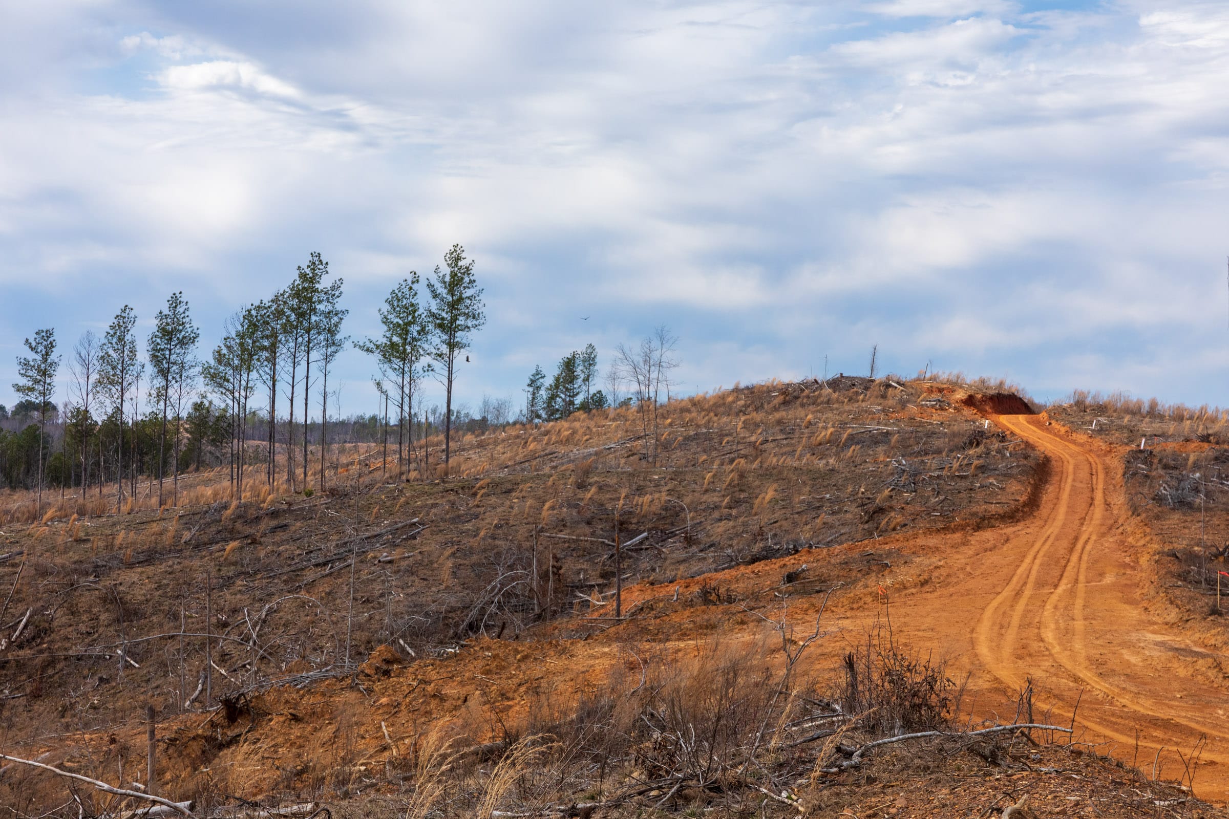 Fairview Hills Tract 10 photo 11