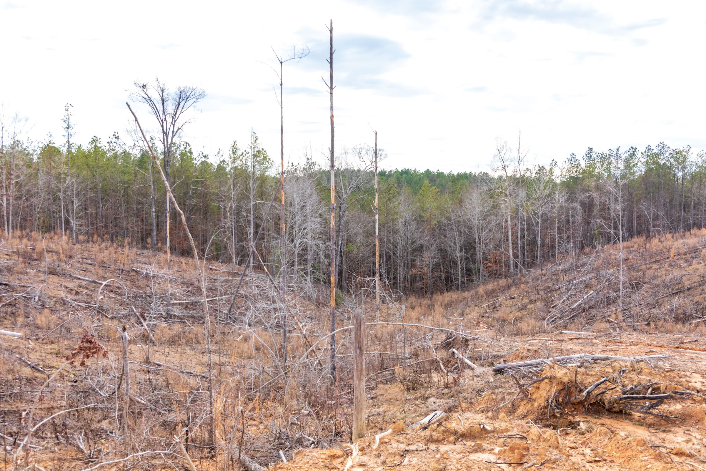 Fairview Hills Tract 10 photo 13