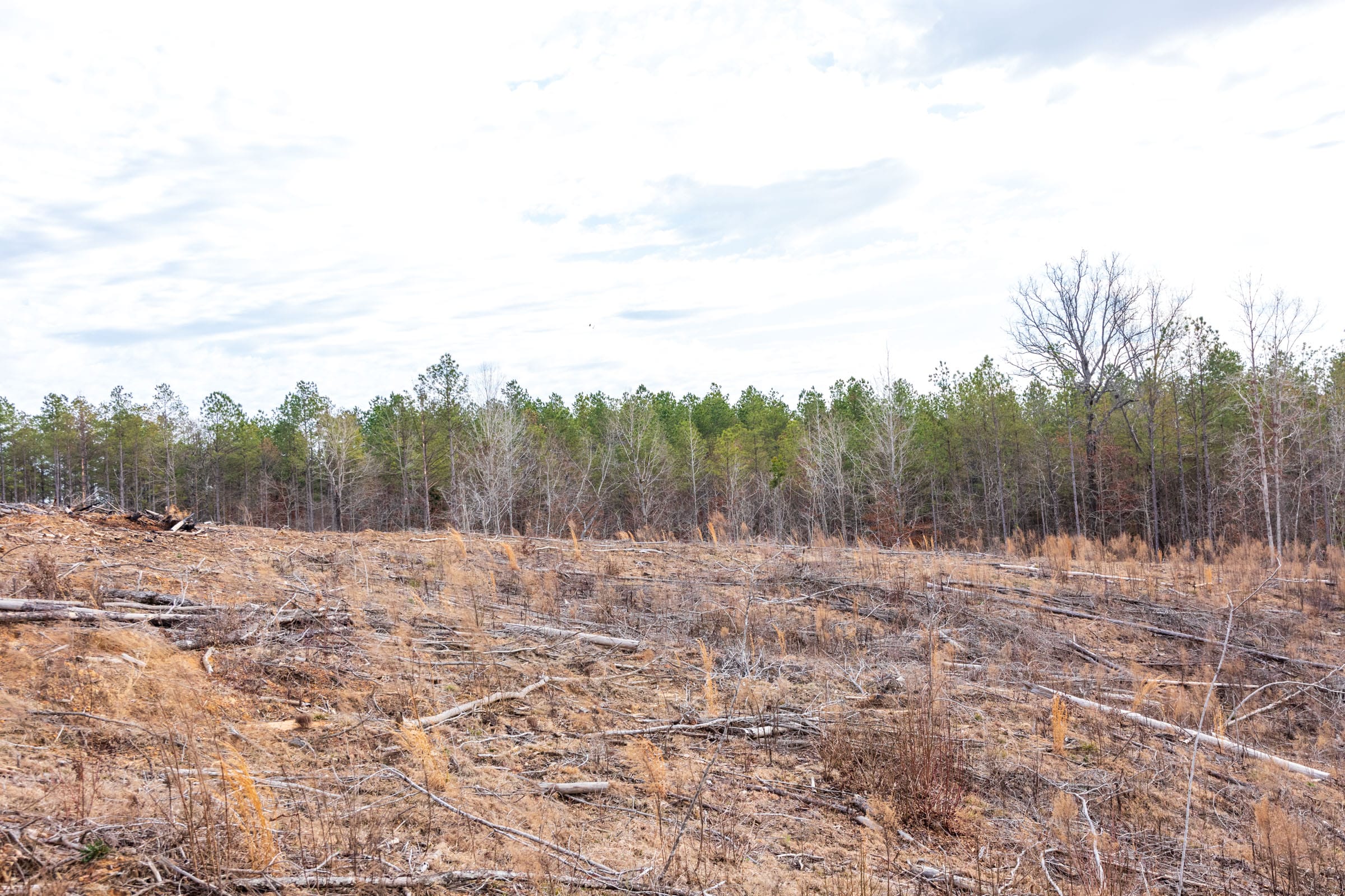 Fairview Hills Tract 10 photo 14