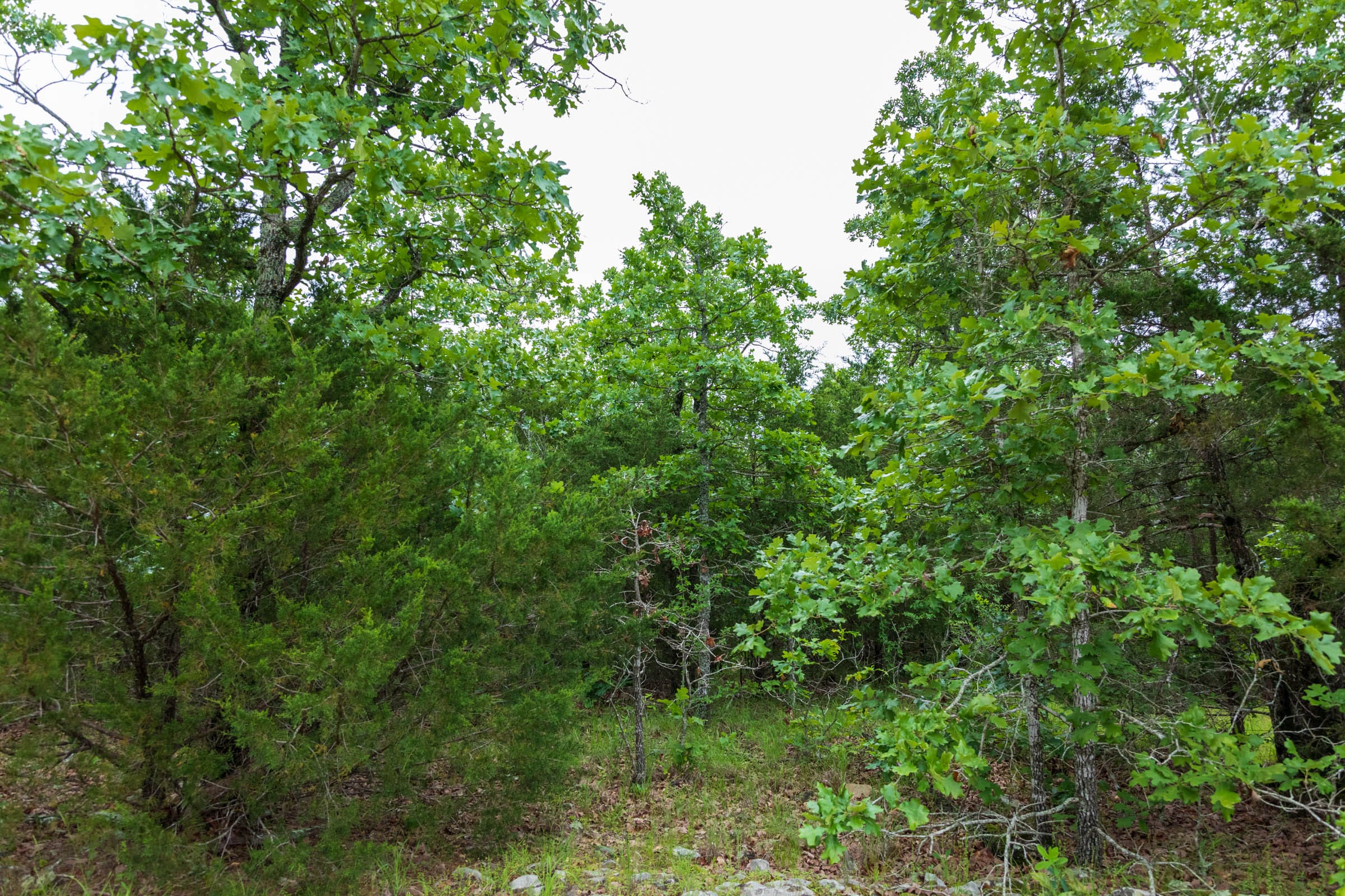 Falcon Crest Tract 4 photo 2