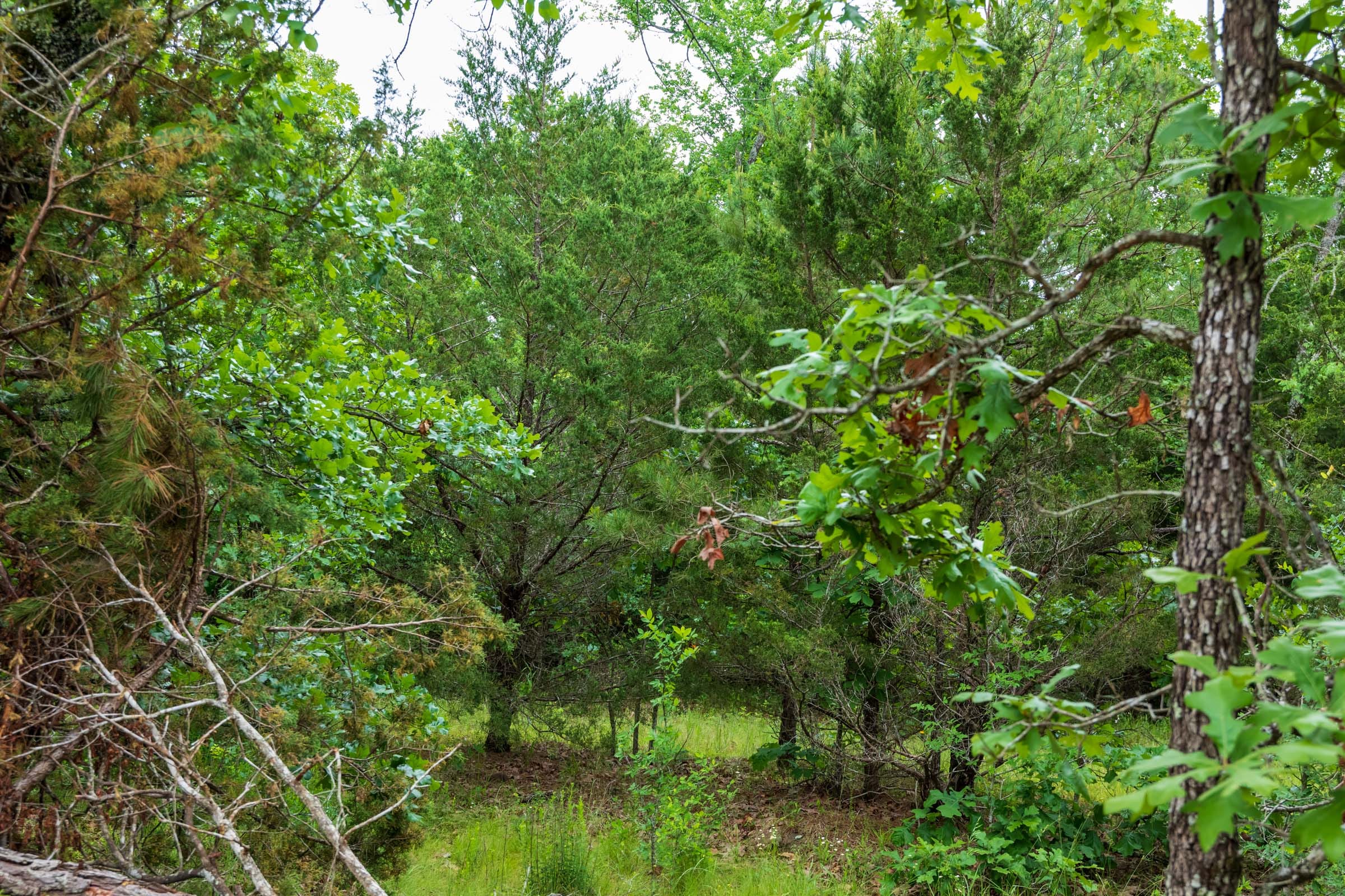 Falcon Crest Tract 4 photo 5