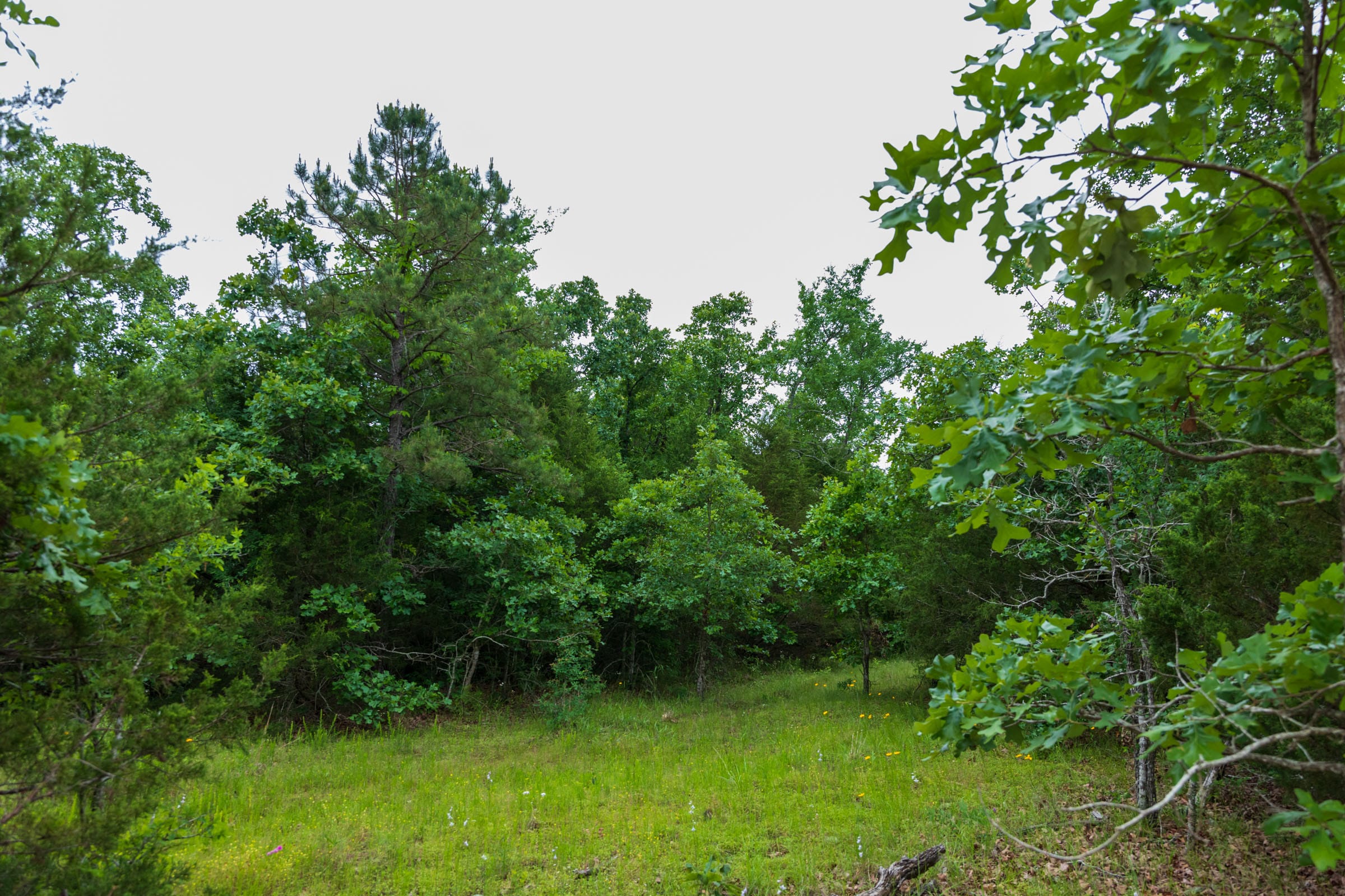 Falcon Crest Tract 4 photo 6