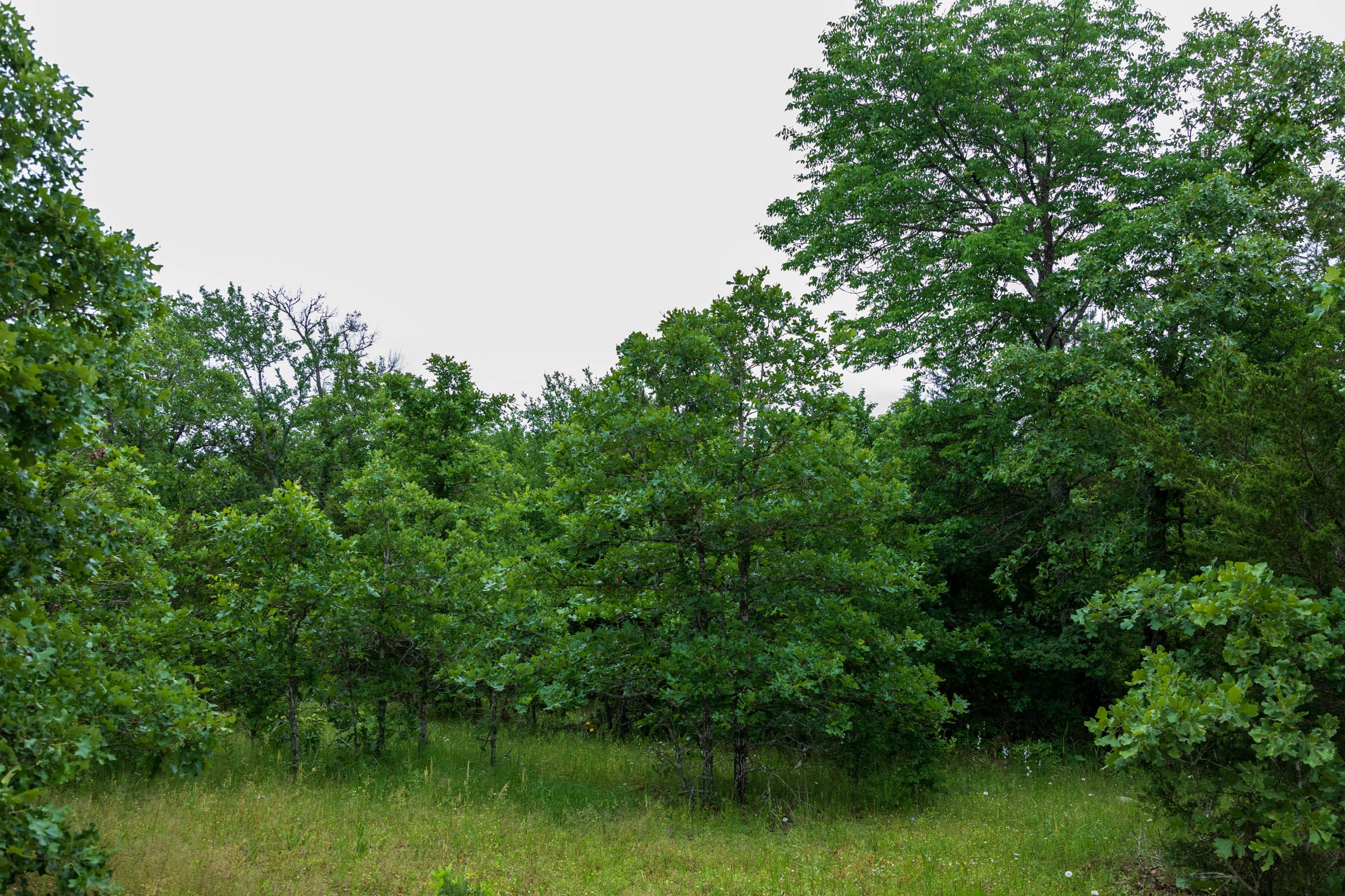 Falcon Crest Tract 4 photo 9