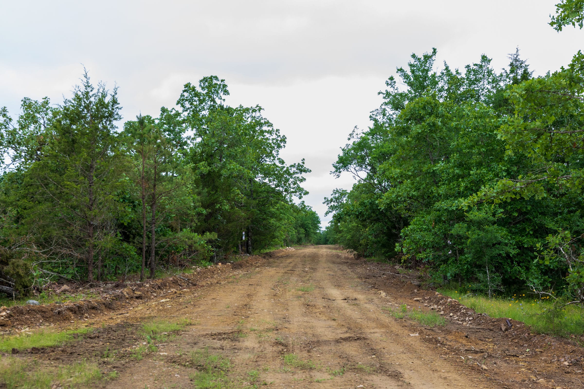 Falcon Crest Tract 4 photo 4