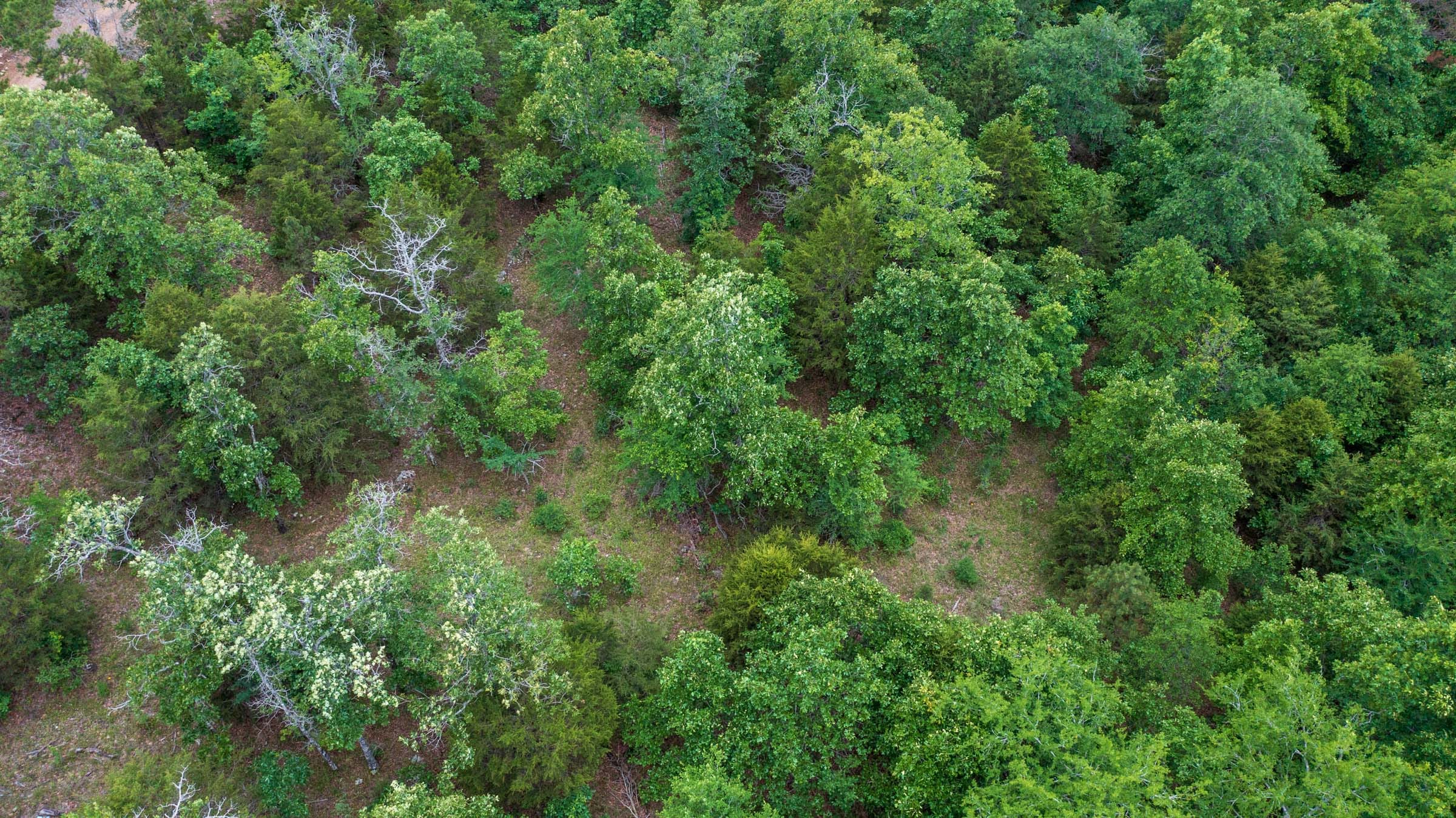 Falcon Crest Tract 4 photo 10