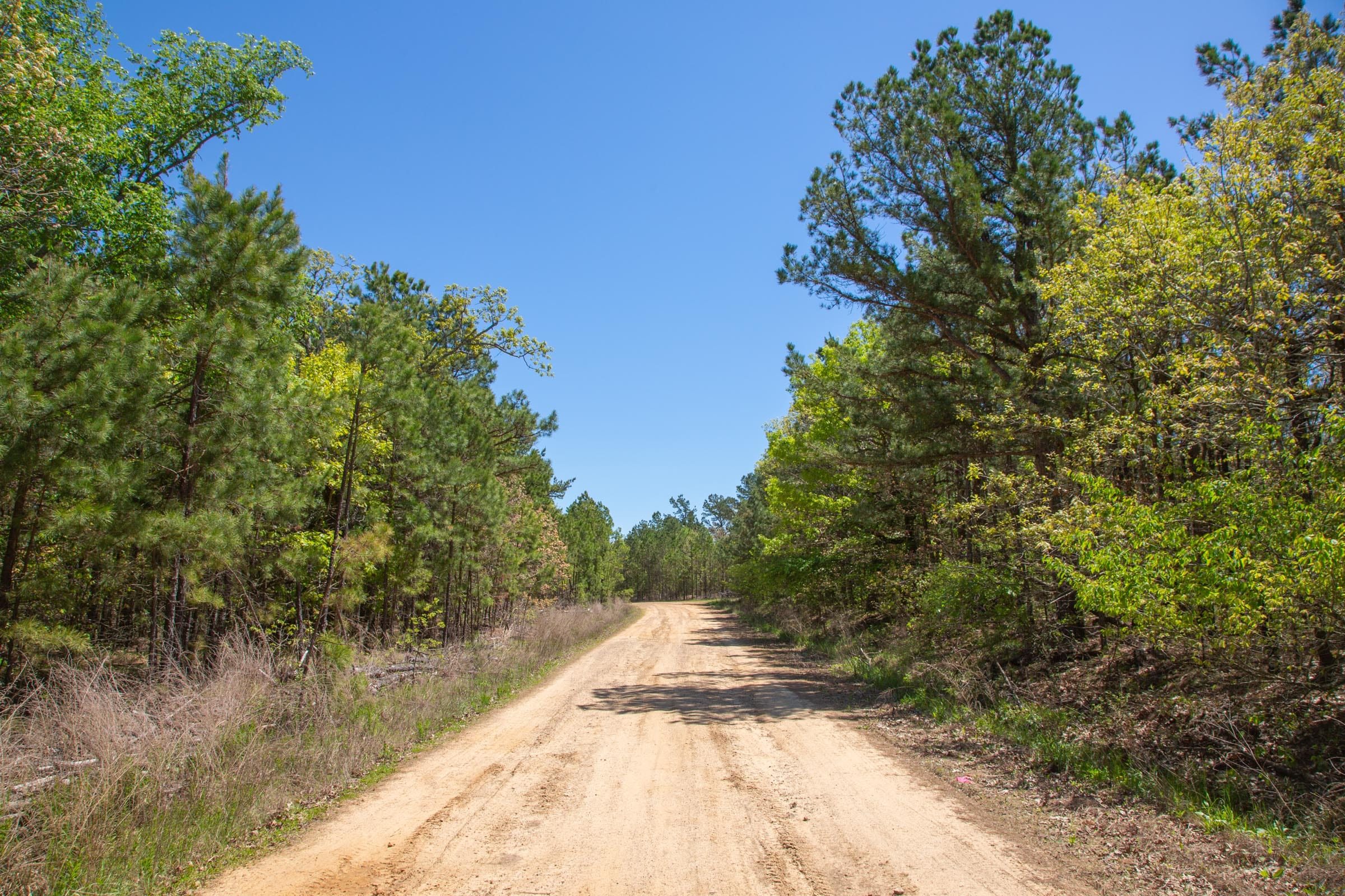 Eagle’s Nest Tract 3 photo 2