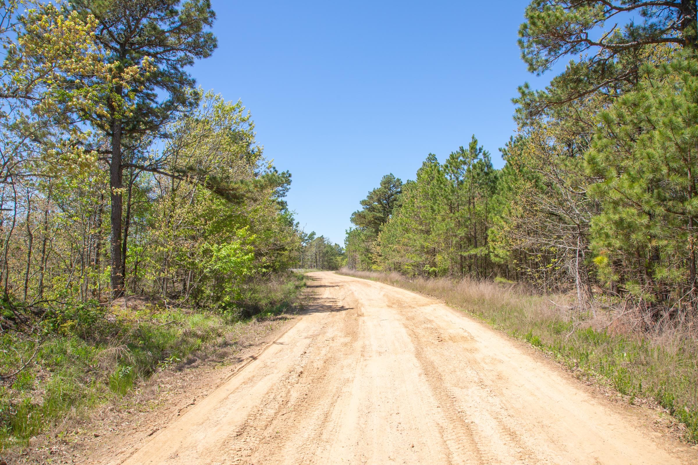 Eagle’s Nest Tract 3 photo 6