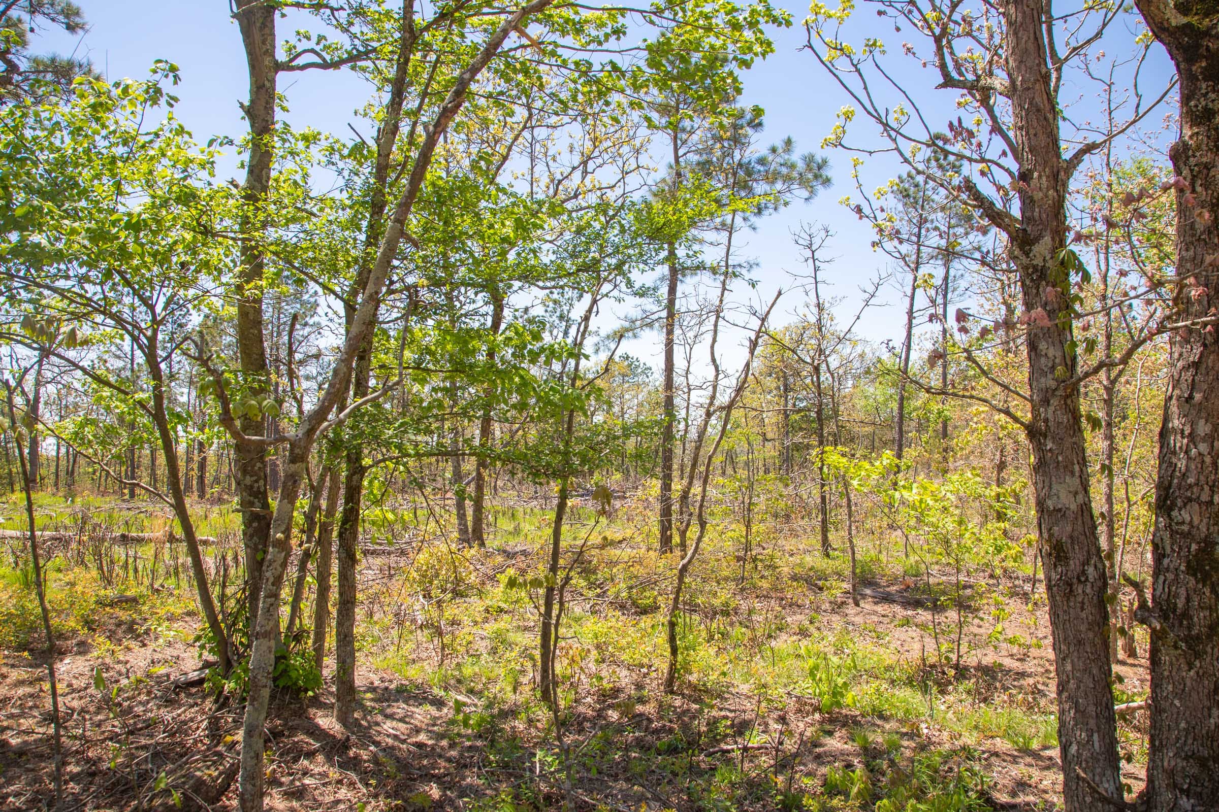 Eagle’s Nest Tract 3 photo 5