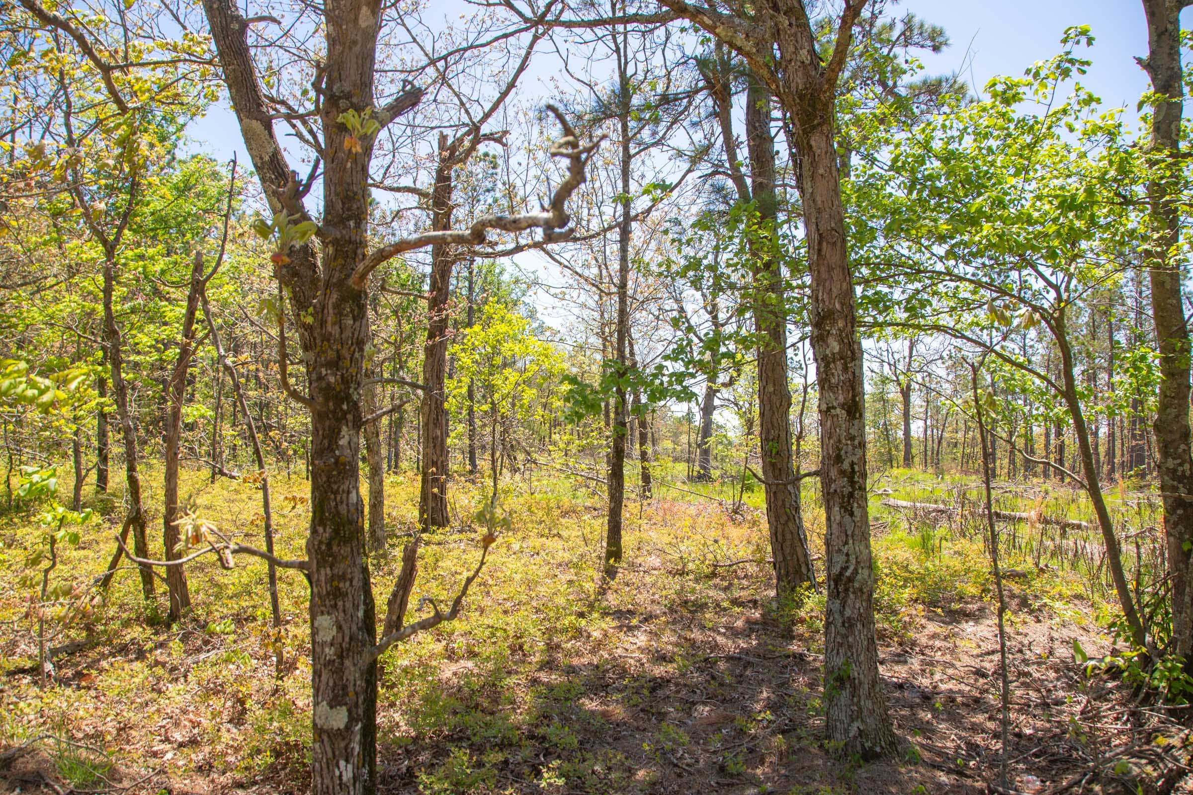 Eagle’s Nest Tract 3 photo 7