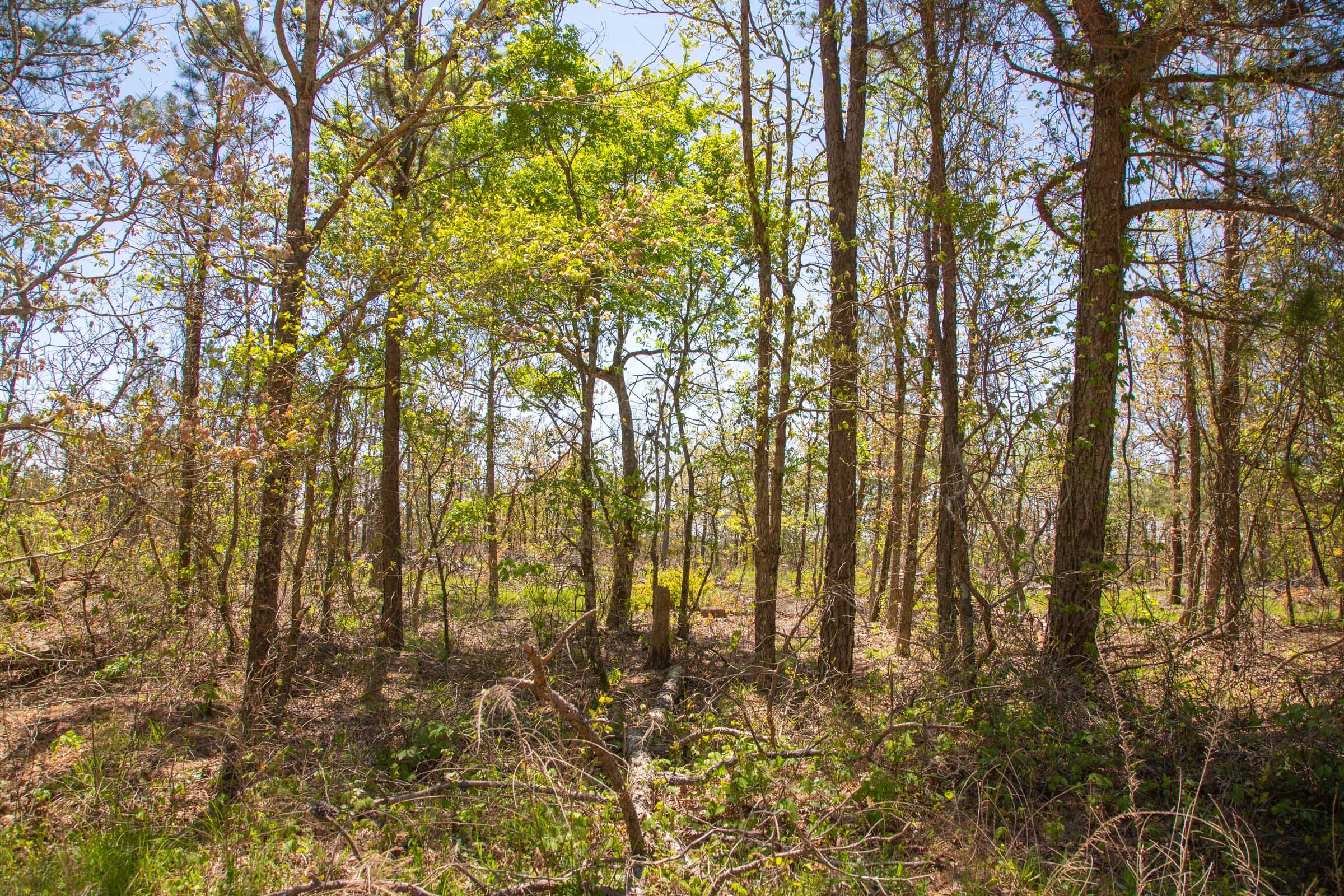 Eagle’s Nest Tract 3 photo 9