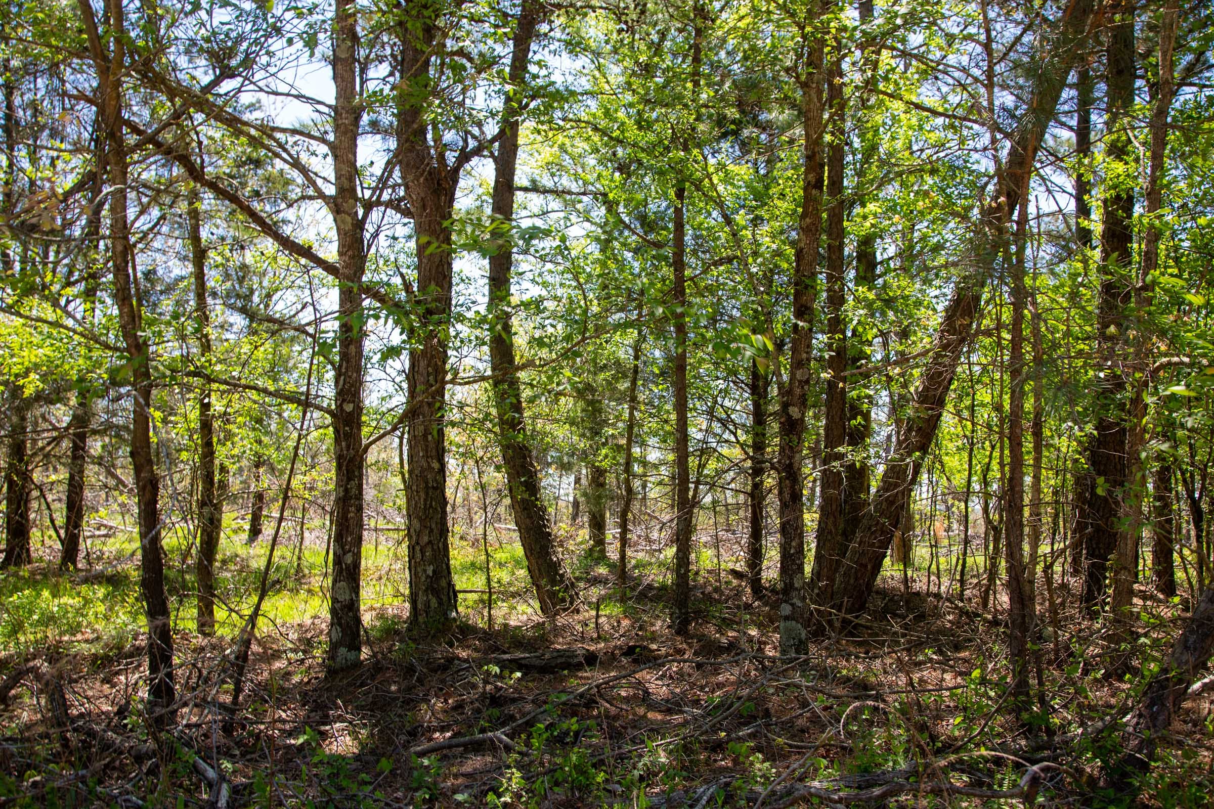 Eagle’s Nest Tract 3 photo 10