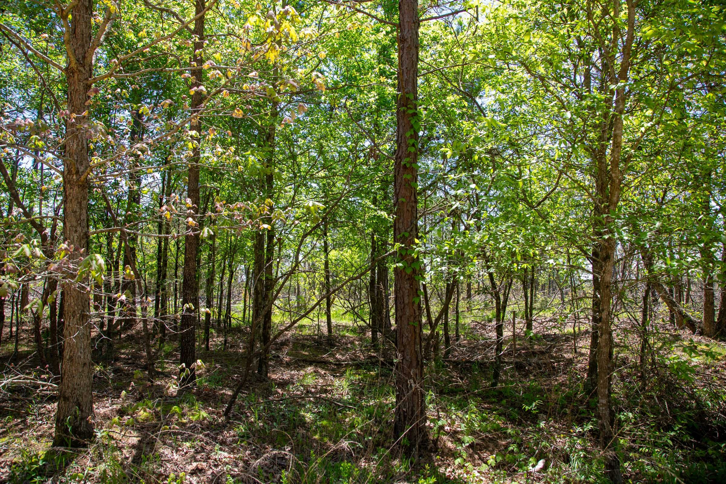 Eagle’s Nest Tract 3 photo 12