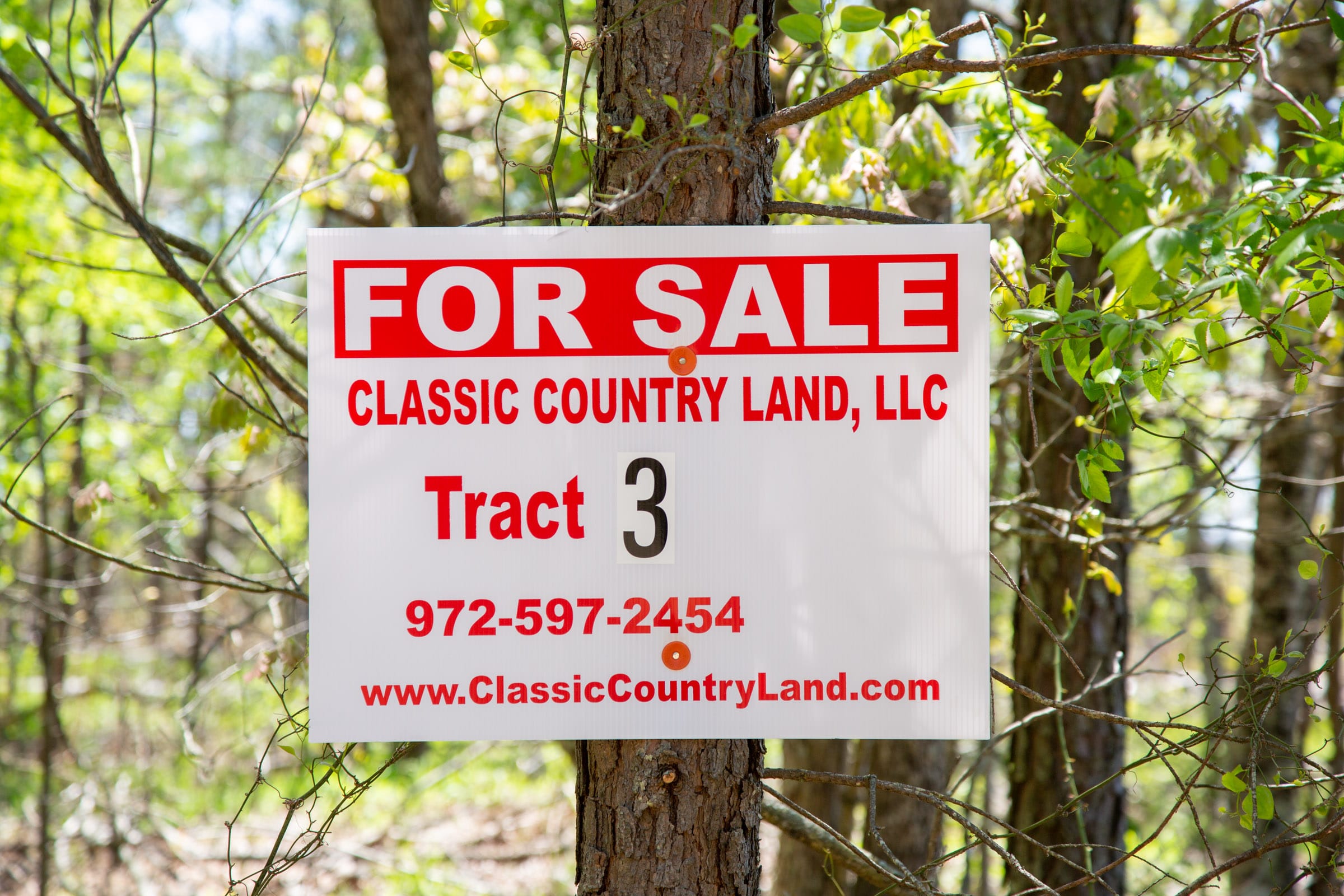 Eagle’s Nest Tract 3 photo 1