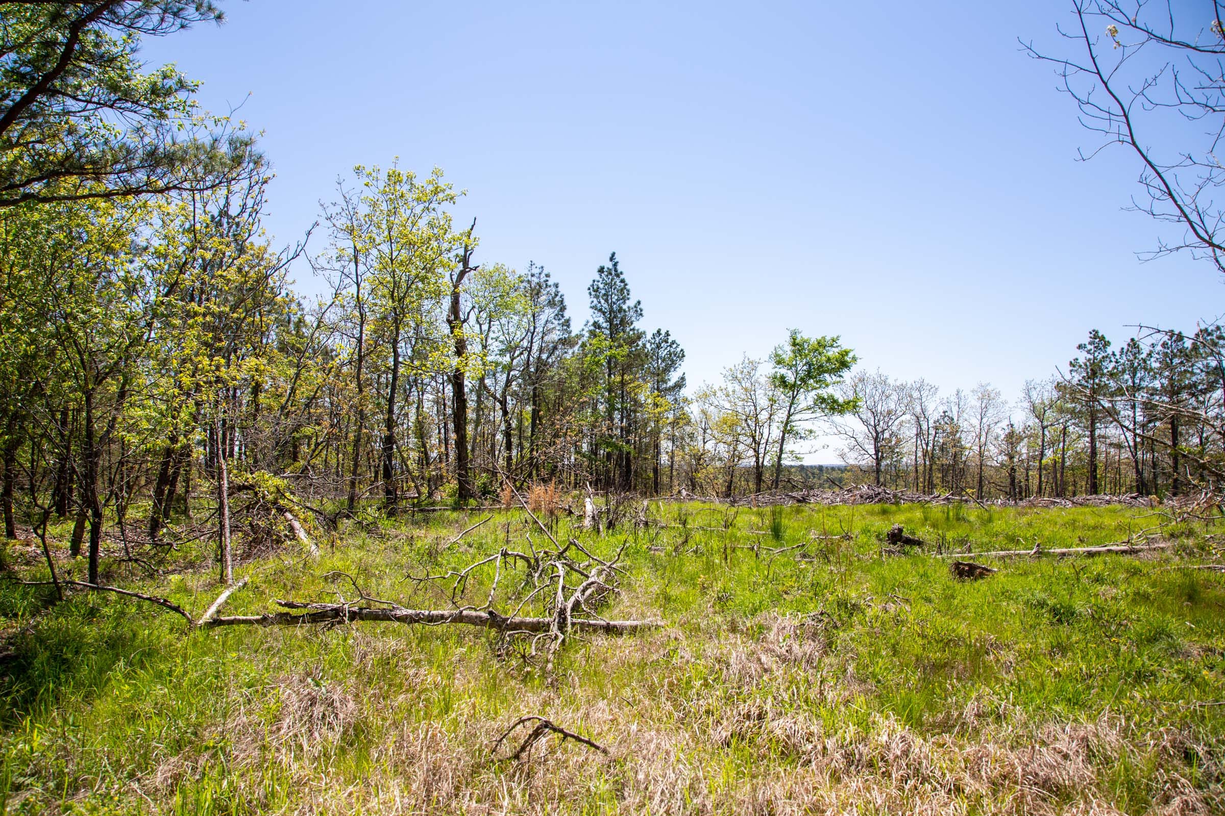 Eagle’s Nest Tract 3 photo 14