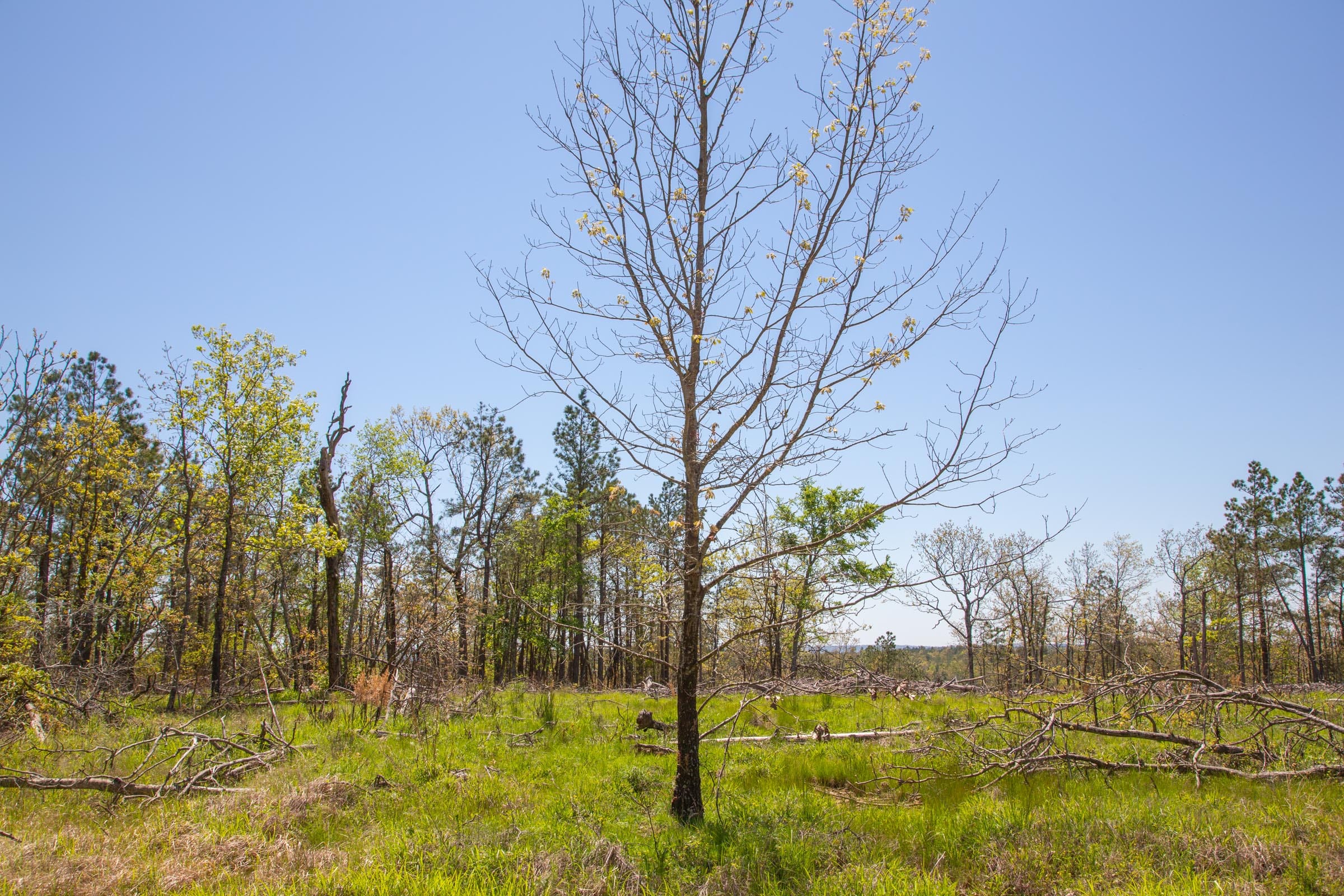 Eagle’s Nest Tract 3 photo 15