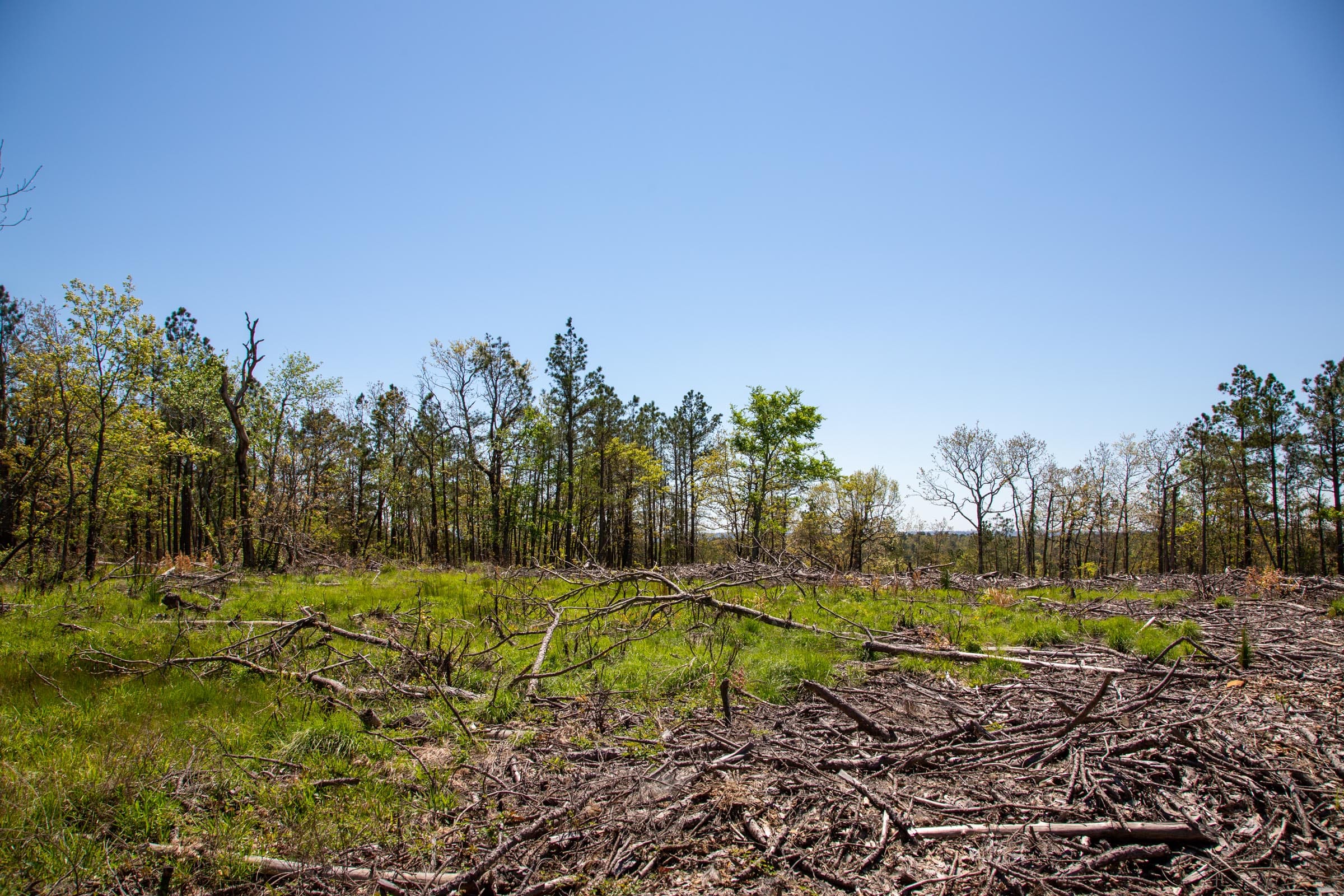 Eagle’s Nest Tract 3 photo 16