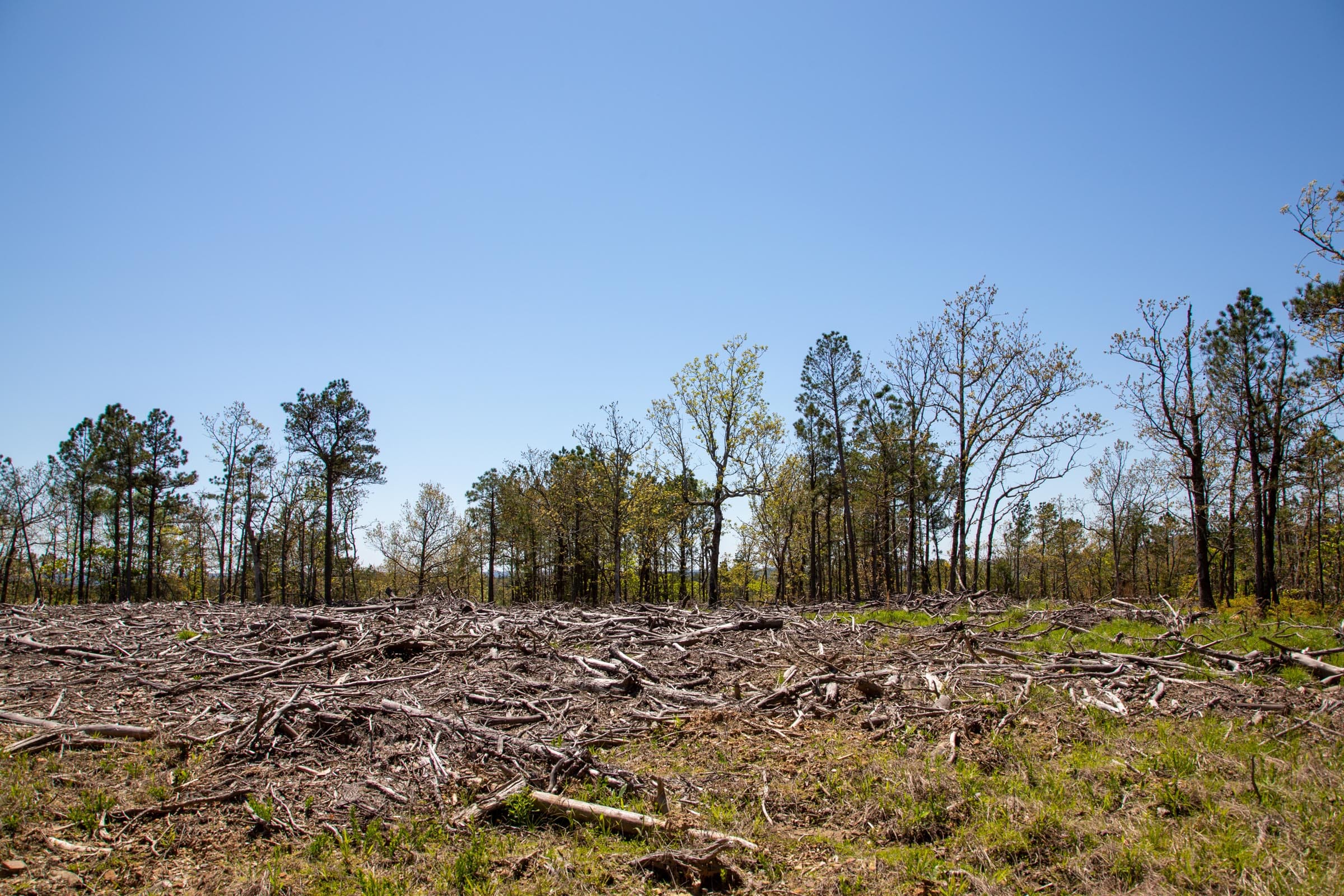 Eagle’s Nest Tract 3 photo 17