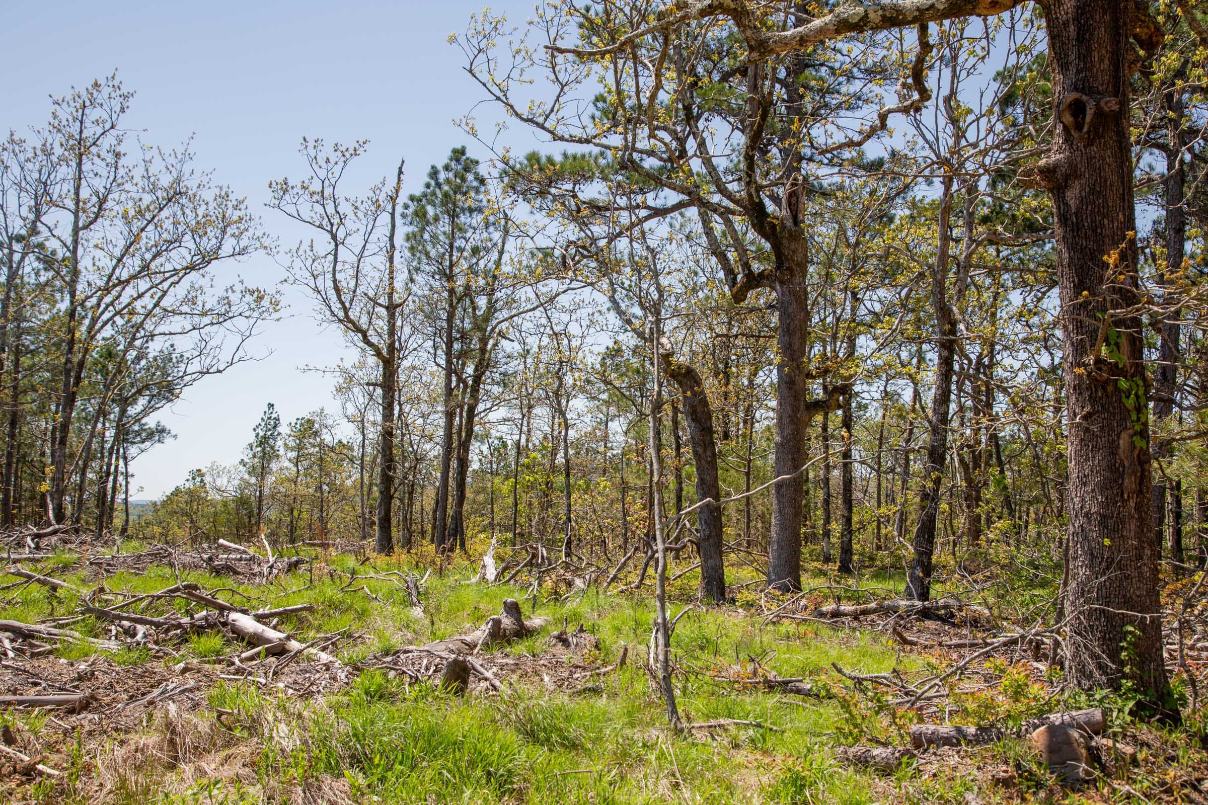 Eagle’s Nest Tract 3 photo 18