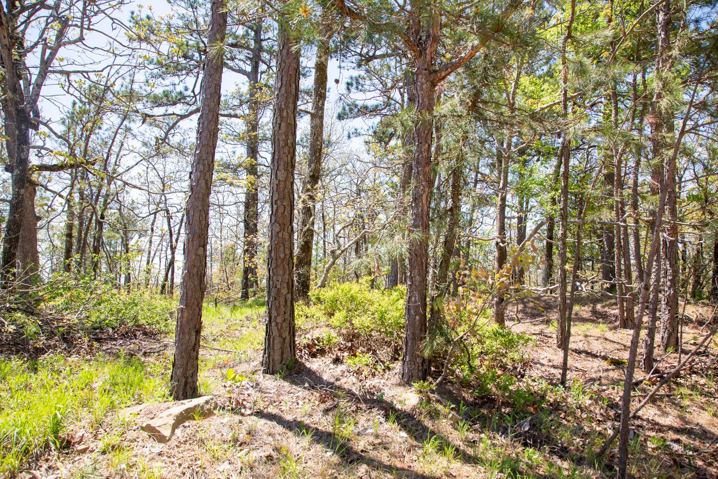 Eagle’s Nest Tract 3 photo 19