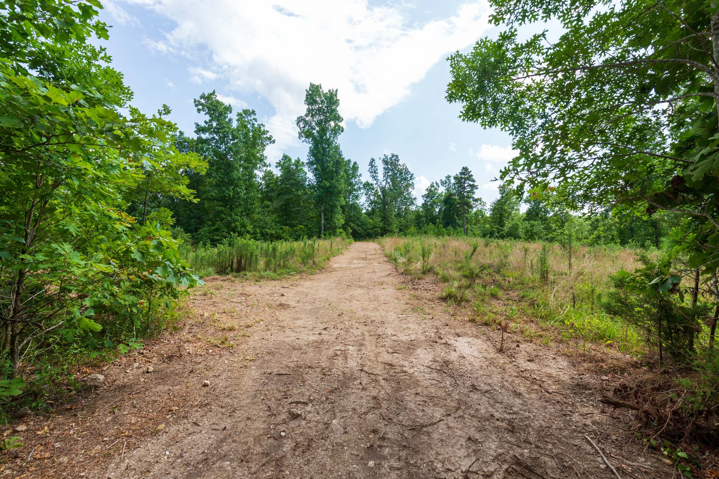 Cypress Ridge Tract 18 photo 1