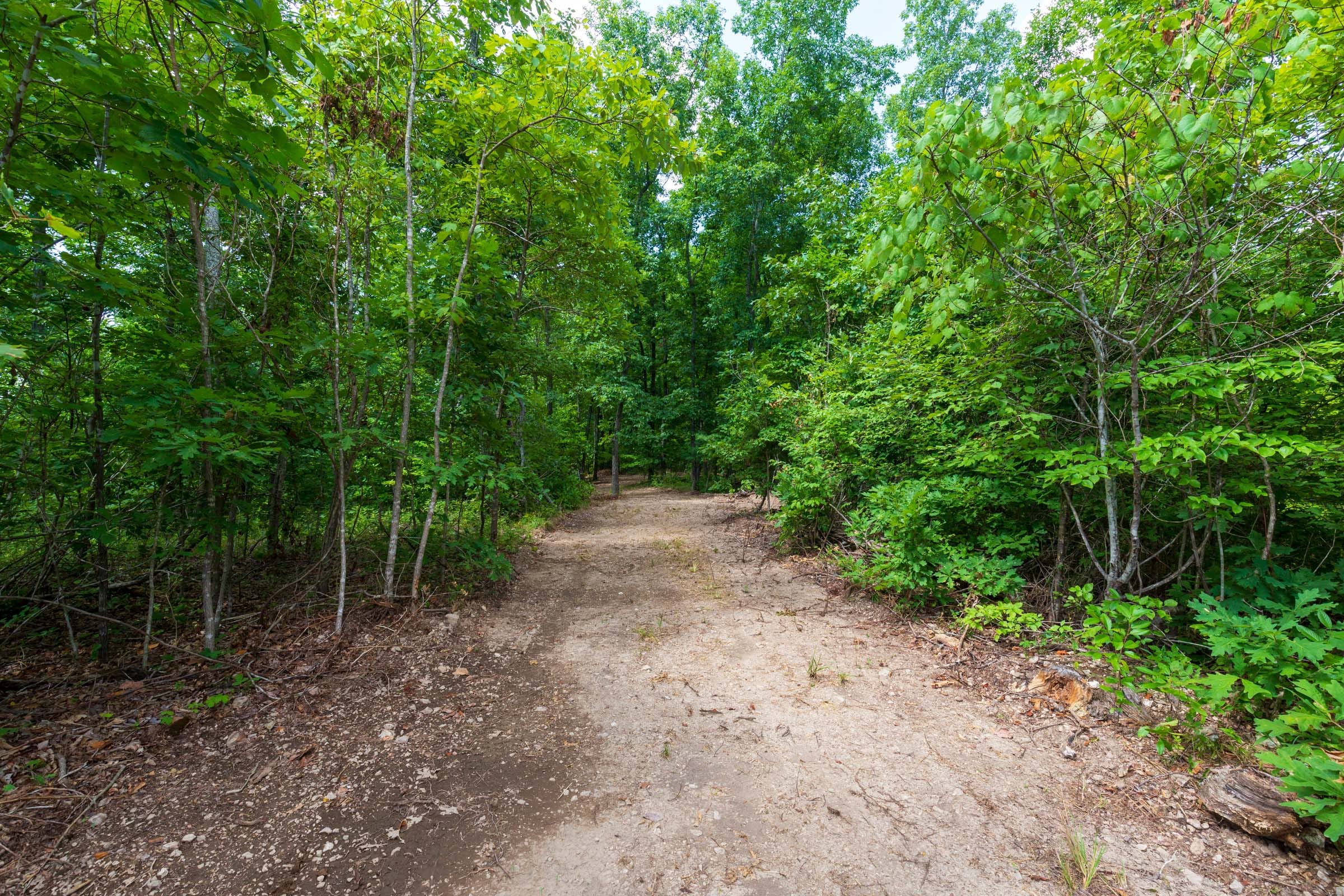 Cypress Ridge Tract 18 photo 5