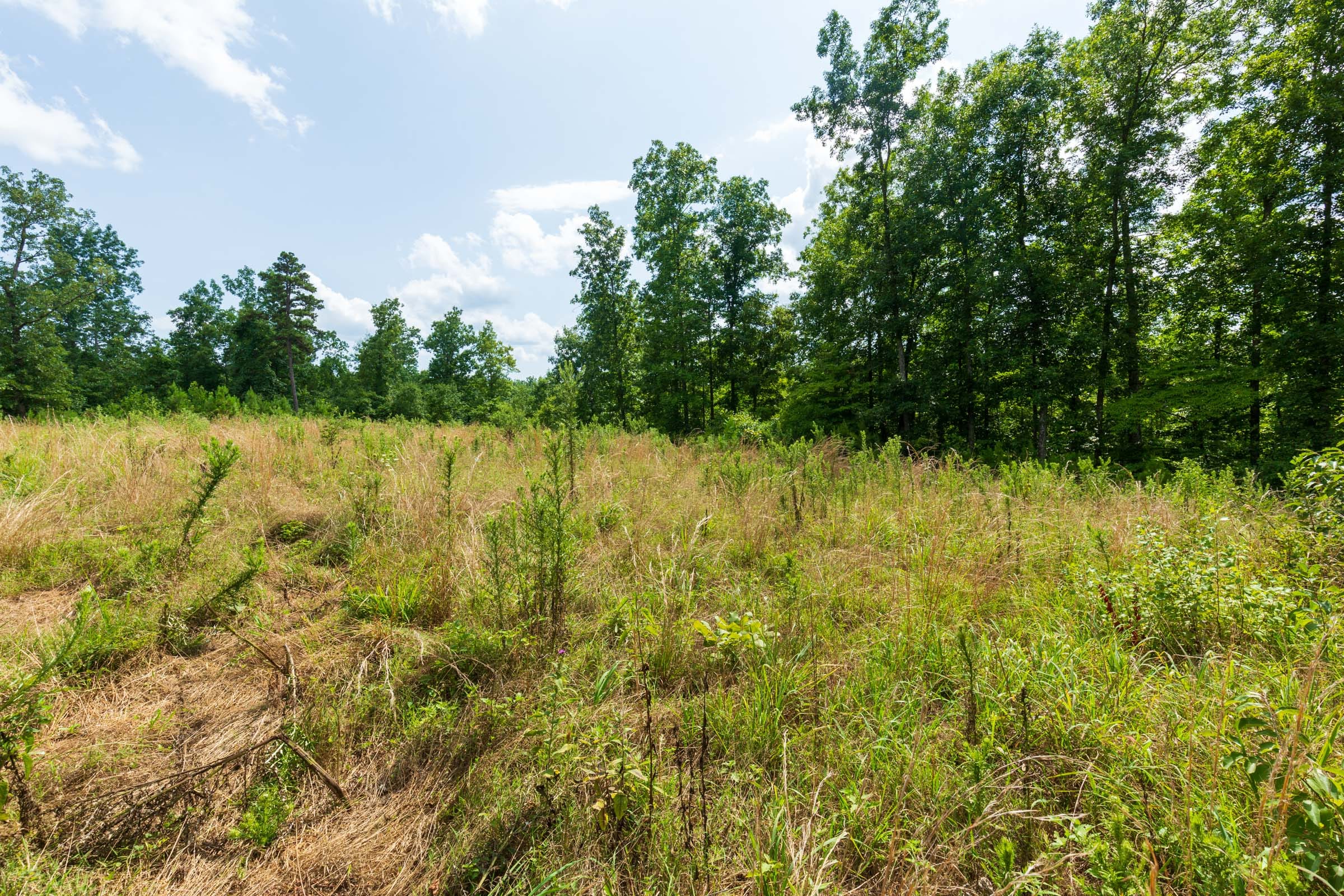 Cypress Ridge Tract 18 photo 7