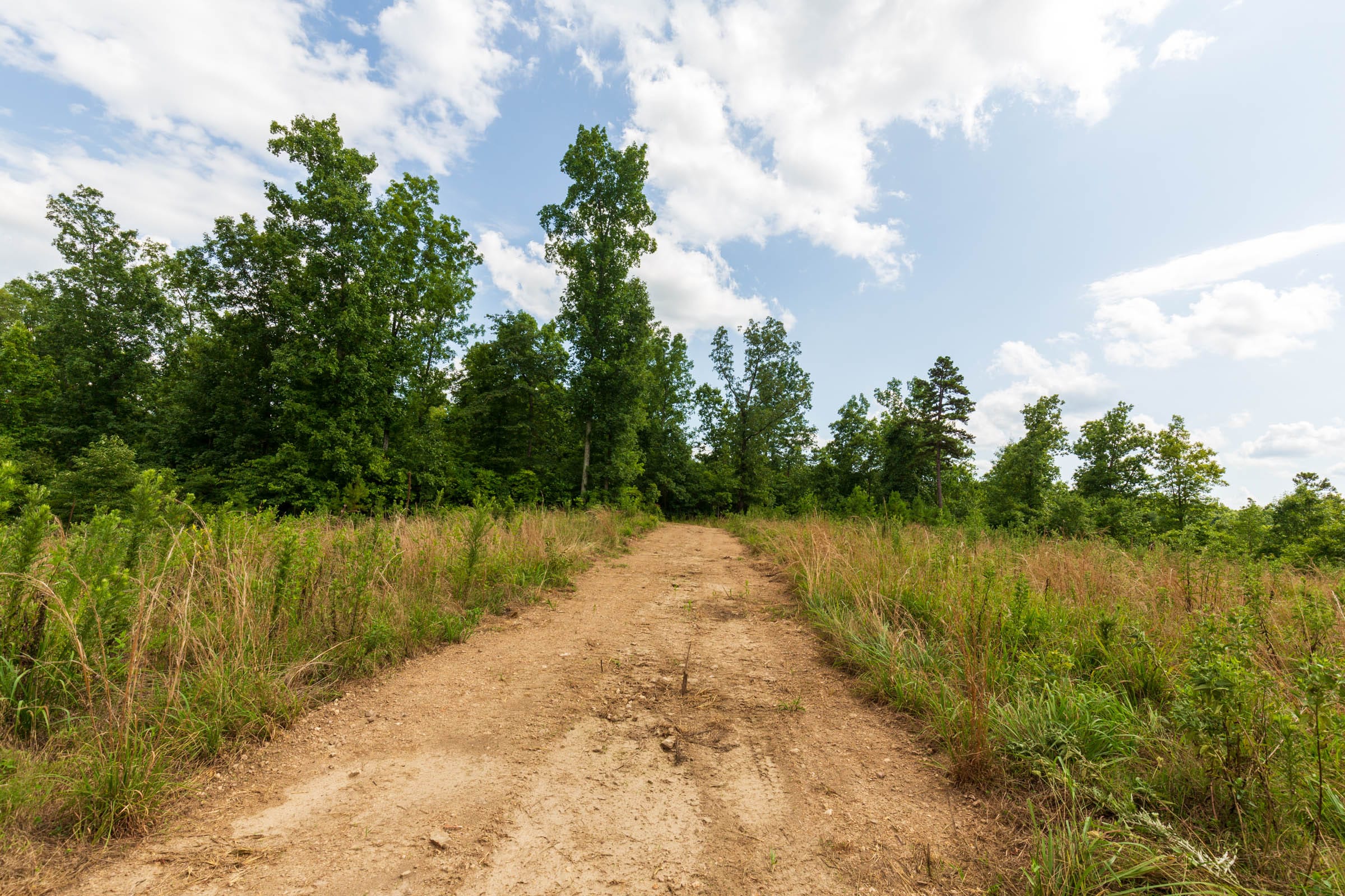 Cypress Ridge Tract 18 photo 9
