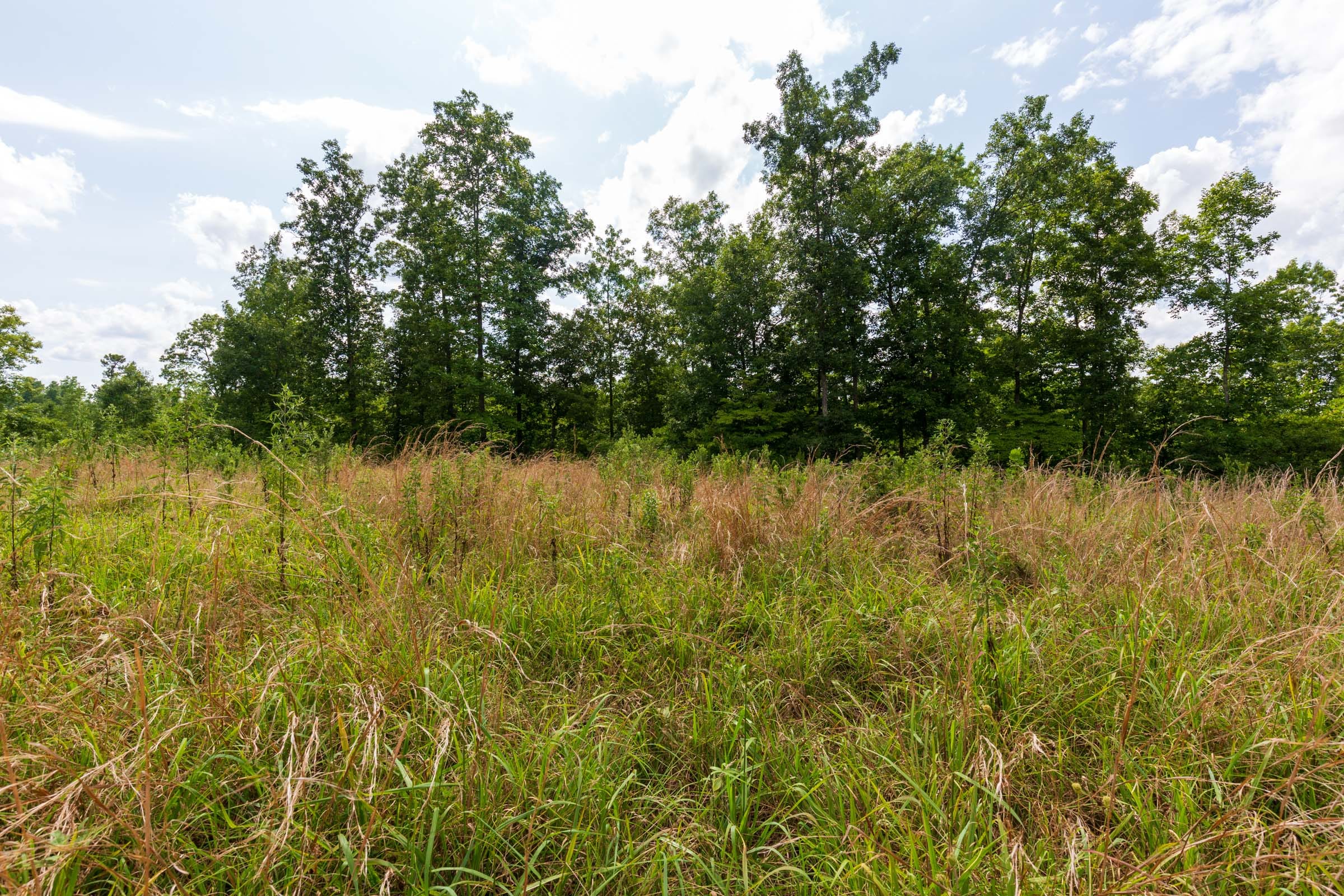 Cypress Ridge Tract 18 photo 10