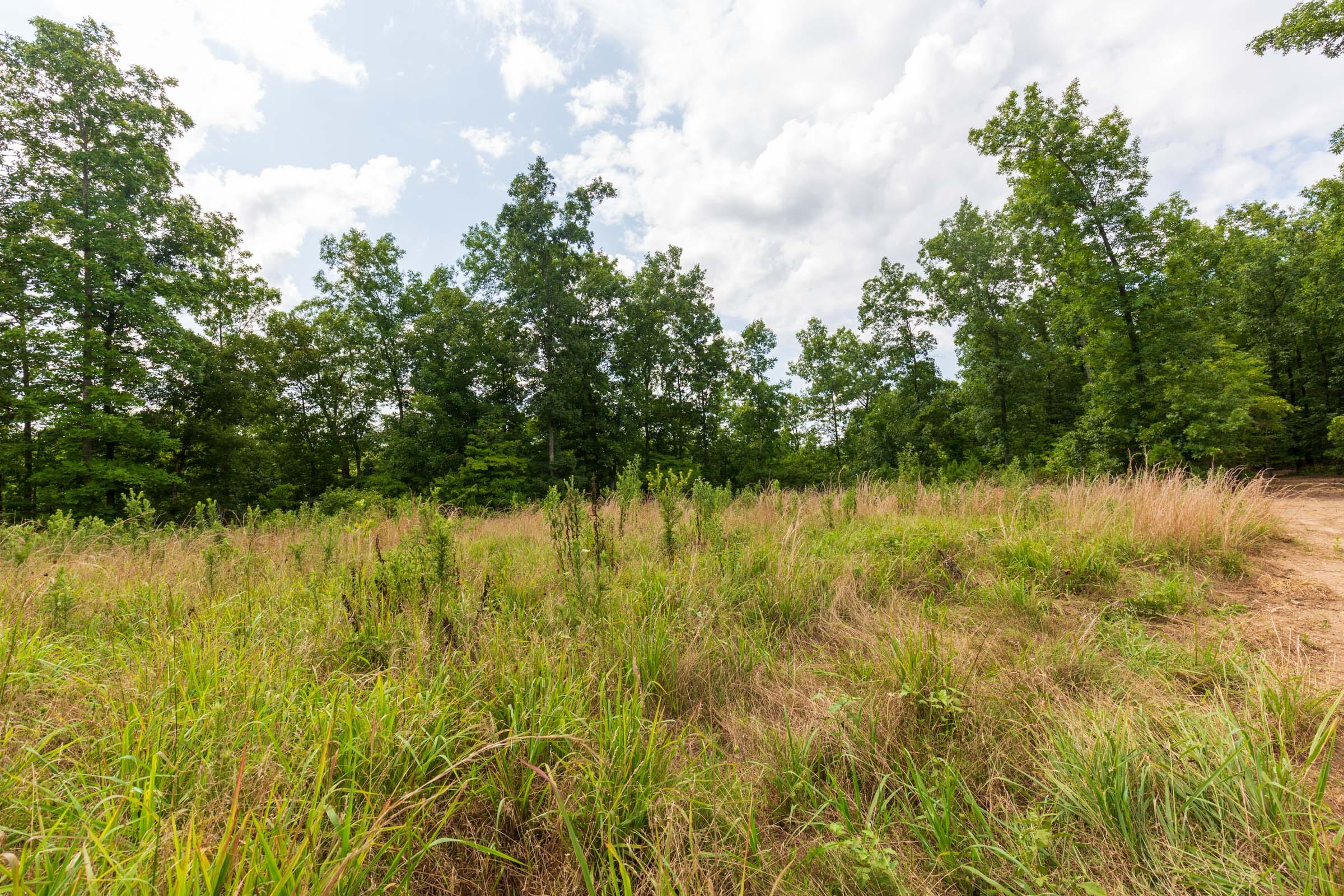 Cypress Ridge Tract 18 photo 13