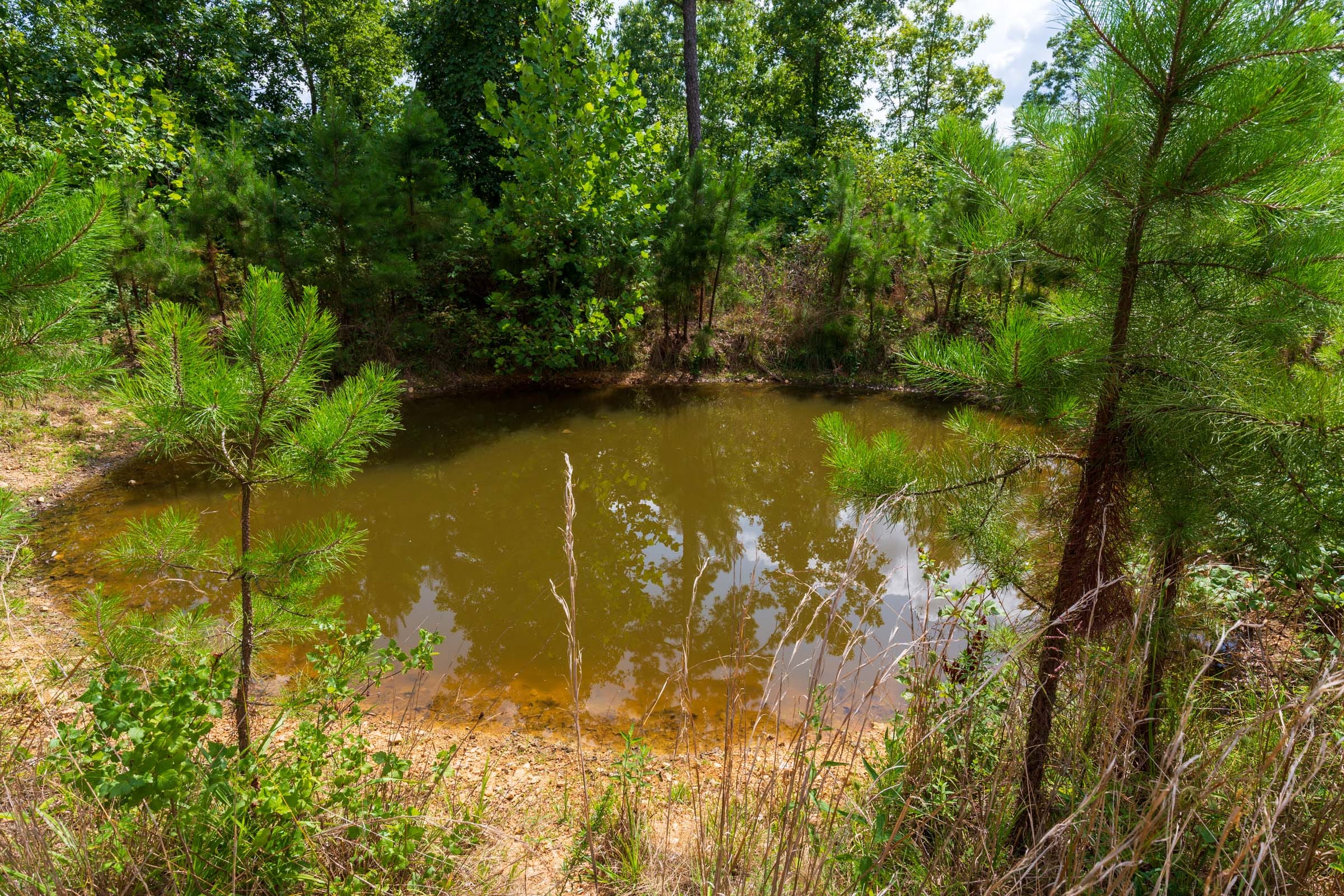 Cypress Ridge Tract 18 photo 2