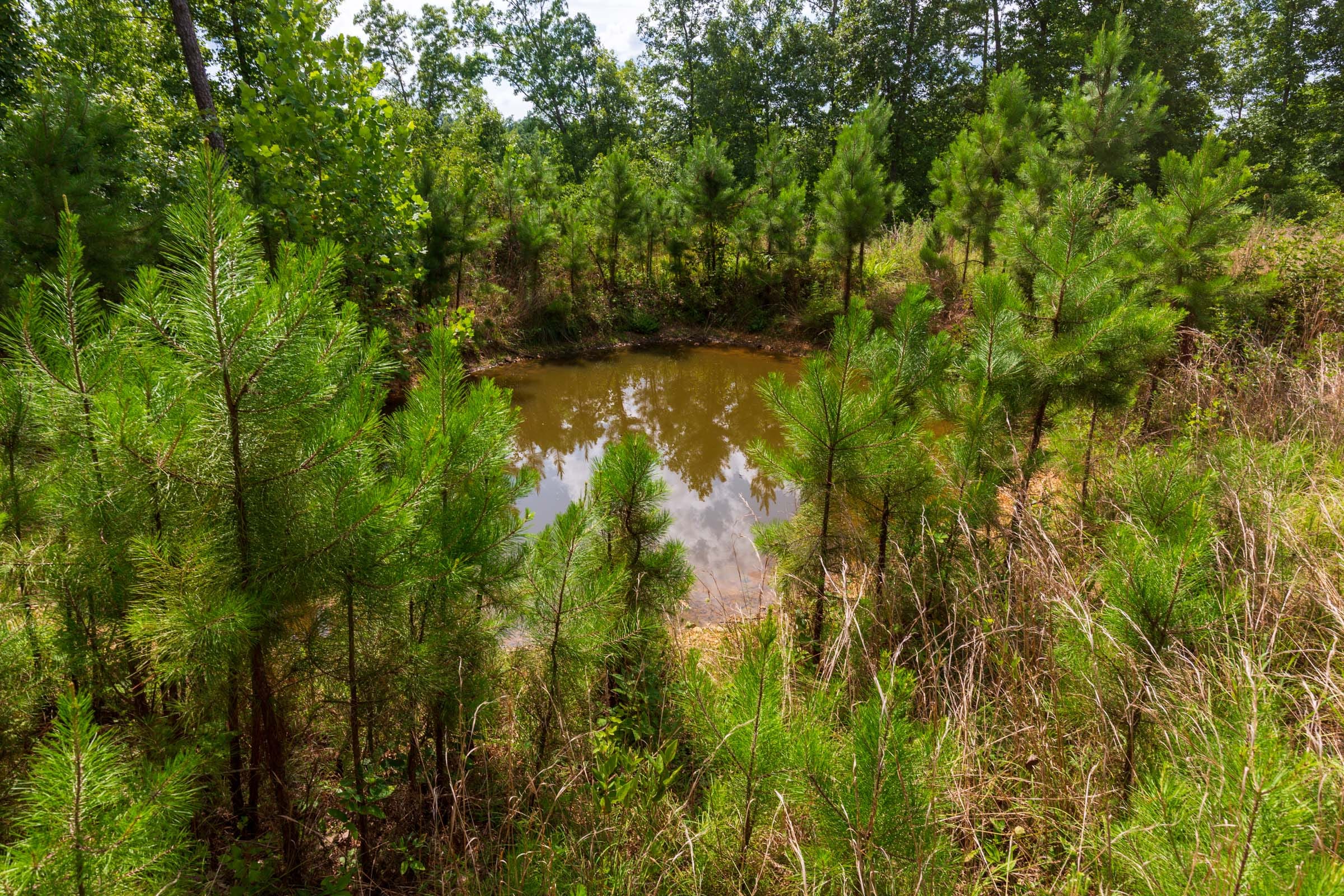 Cypress Ridge Tract 18 photo 3