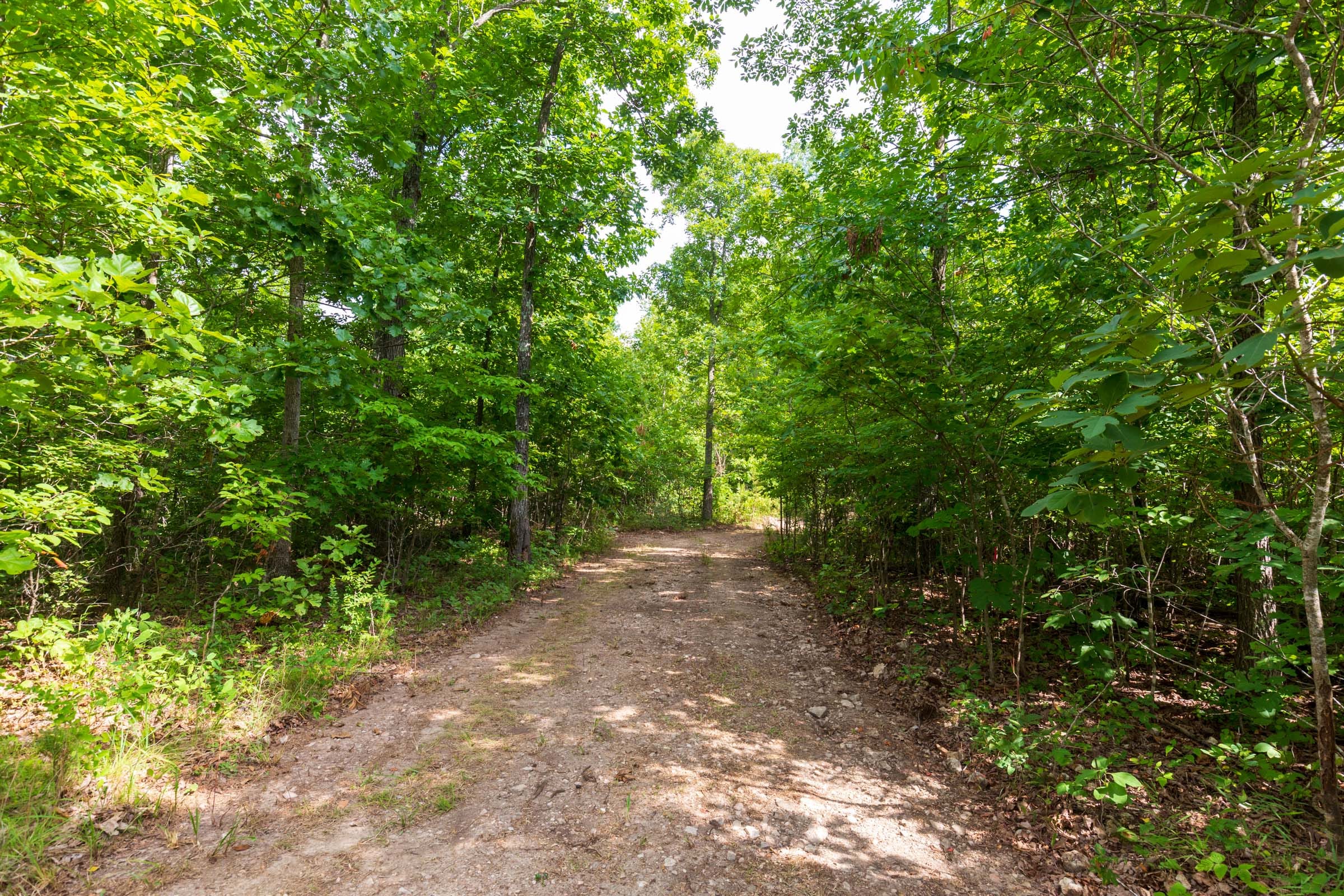 Cypress Ridge Tract 18 photo 12