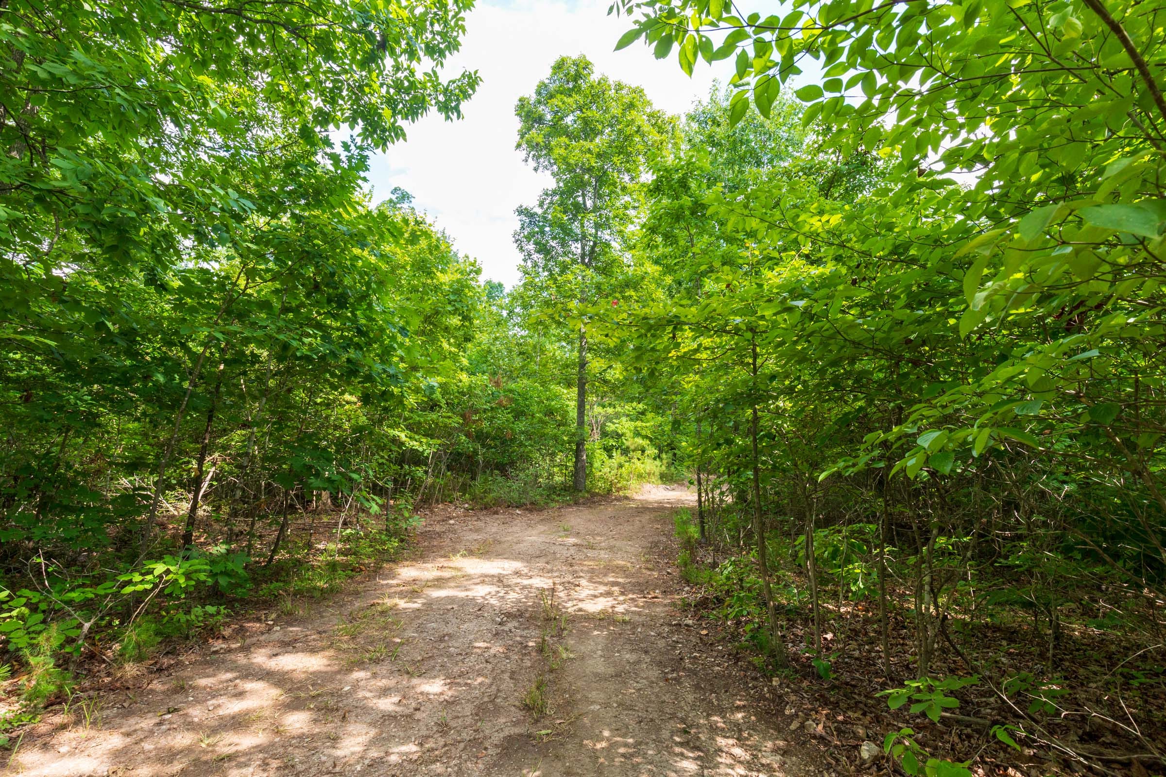 Cypress Ridge Tract 18 photo 15