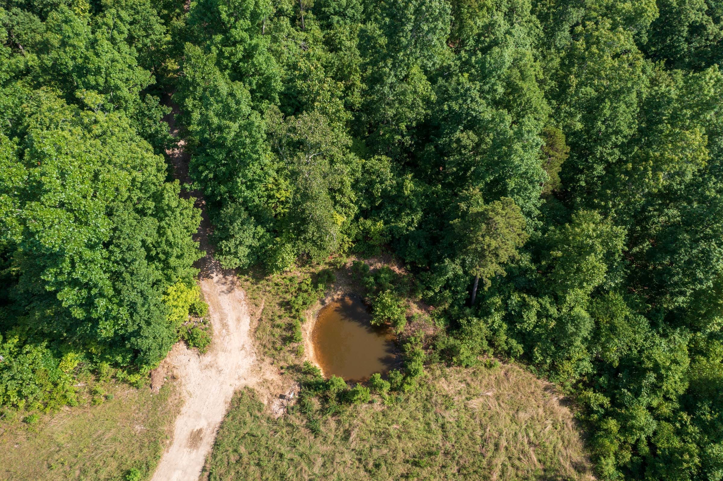 Cypress Ridge Tract 18 photo 4