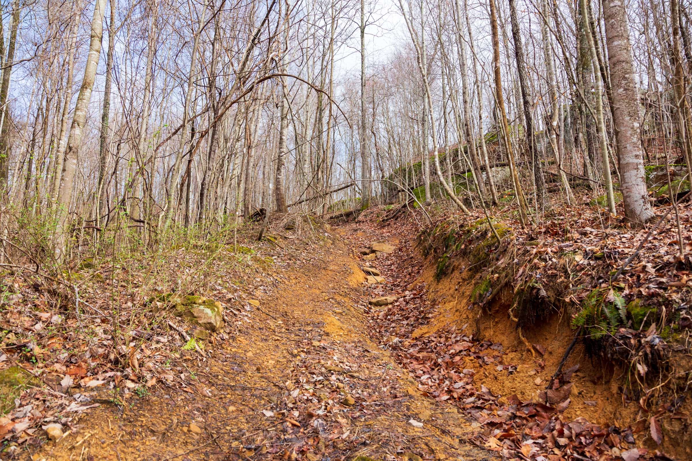 Blackstone Mountain Phase II Tract 75 photo 2
