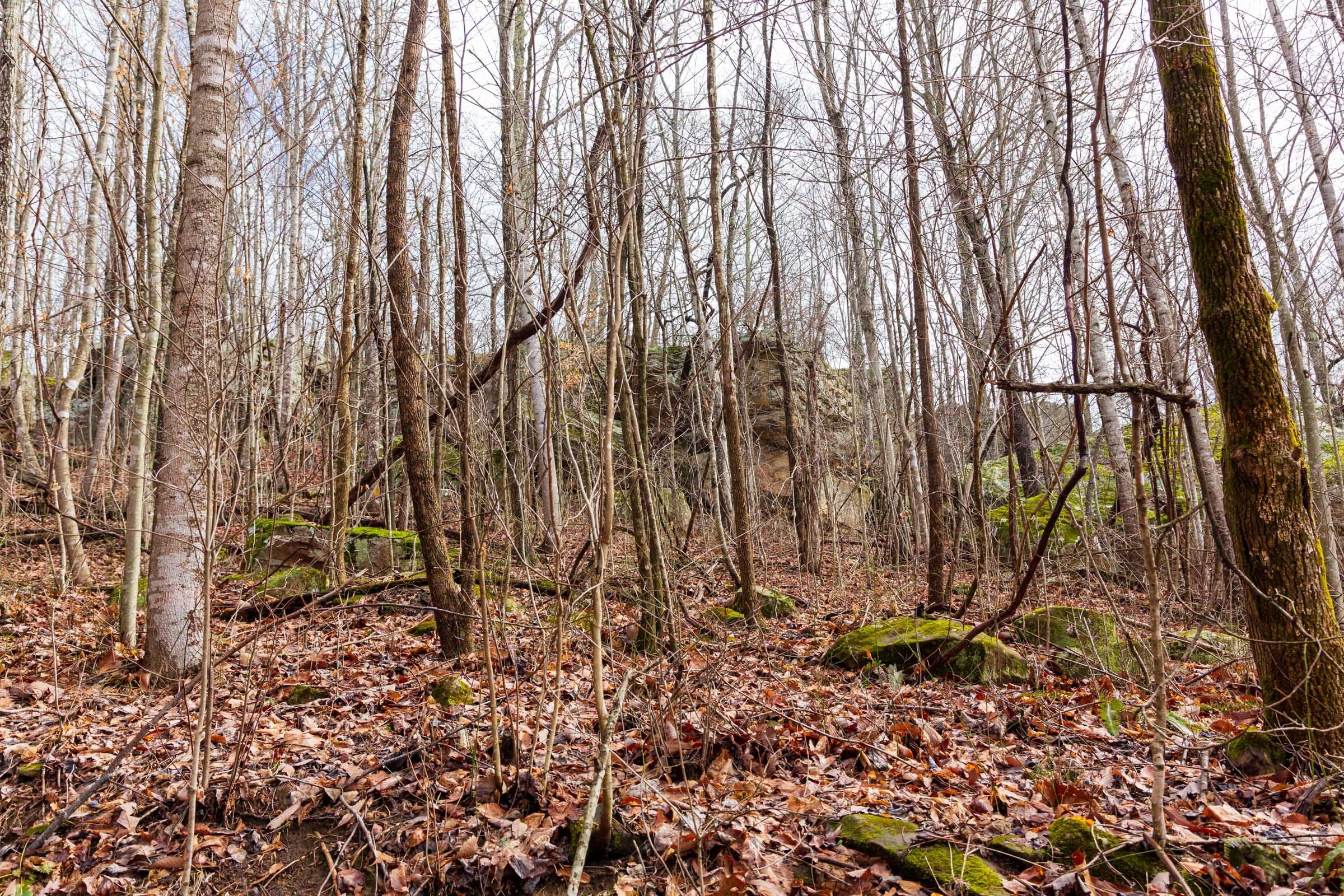 Blackstone Mountain Phase II Tract 75 photo 3
