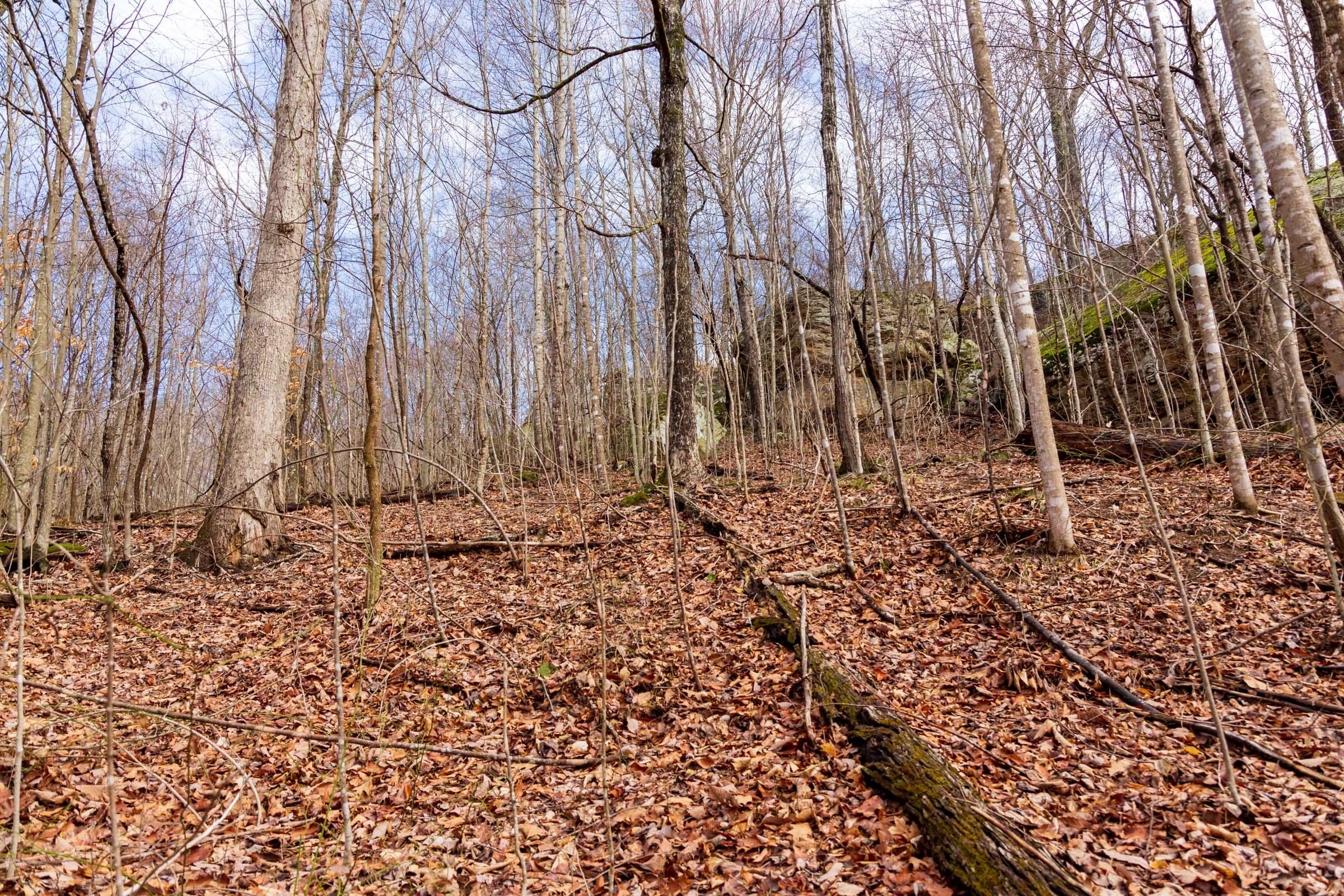 Blackstone Mountain Phase II Tract 75 photo 6