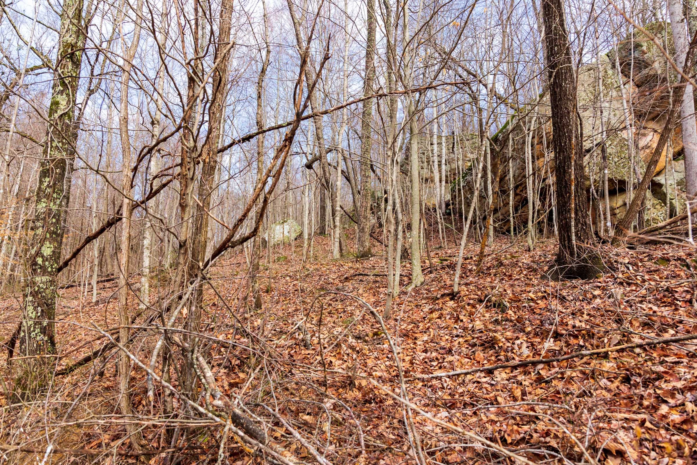 Blackstone Mountain Phase II Tract 75 photo 7
