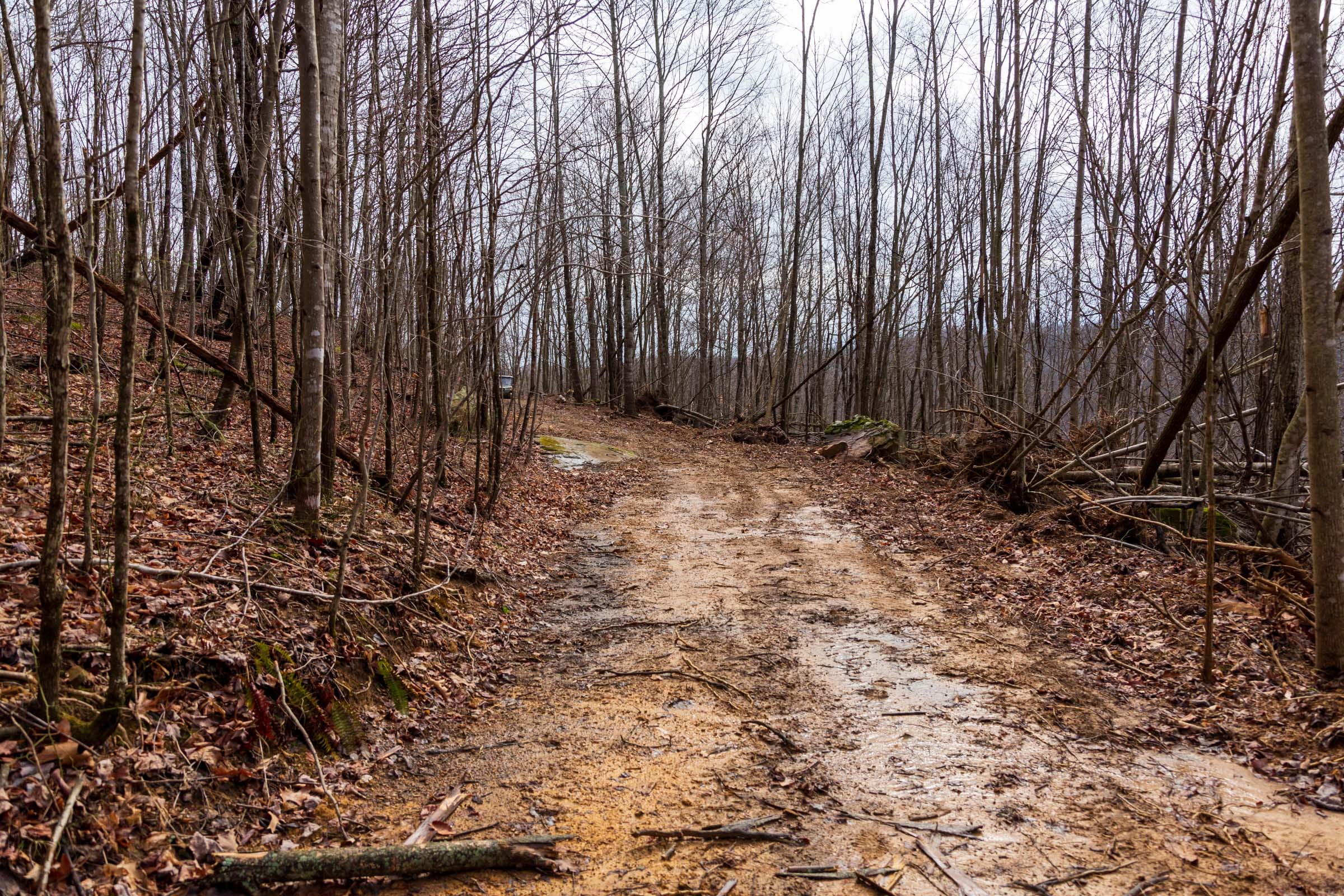 Blackstone Mountain Phase II Tract 75 photo 5