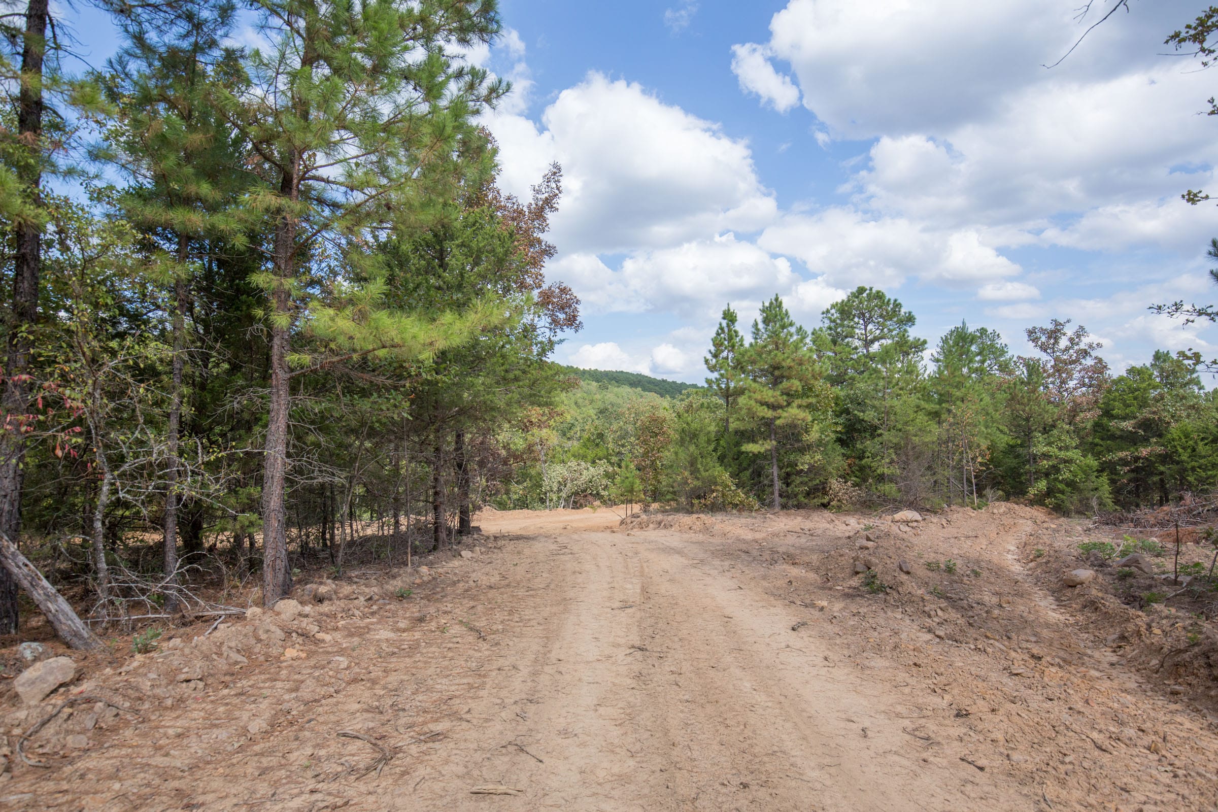 Stone Bridge Phase I Tract 47 photo 5