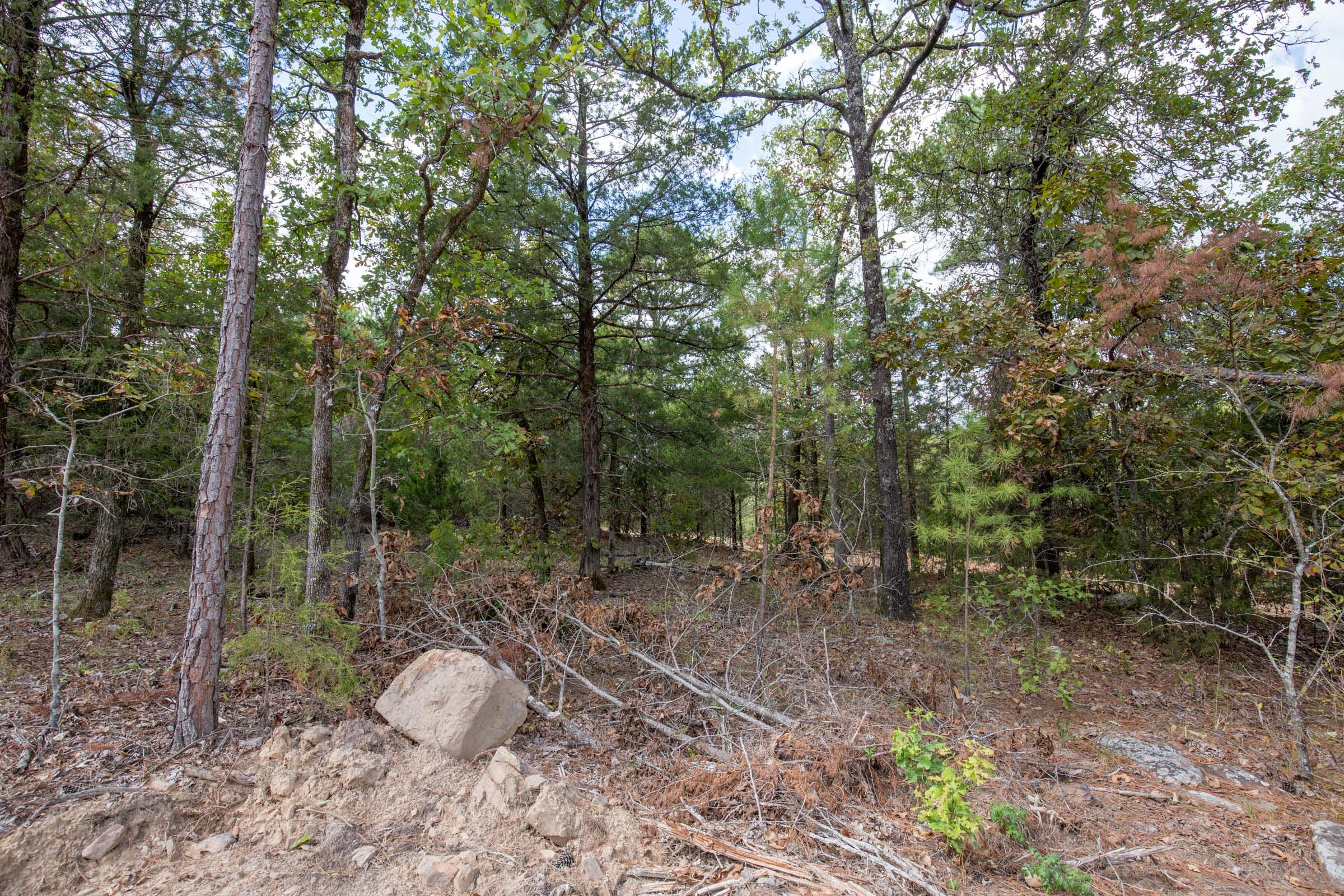 Stone Bridge Phase I Tract 47 photo 6