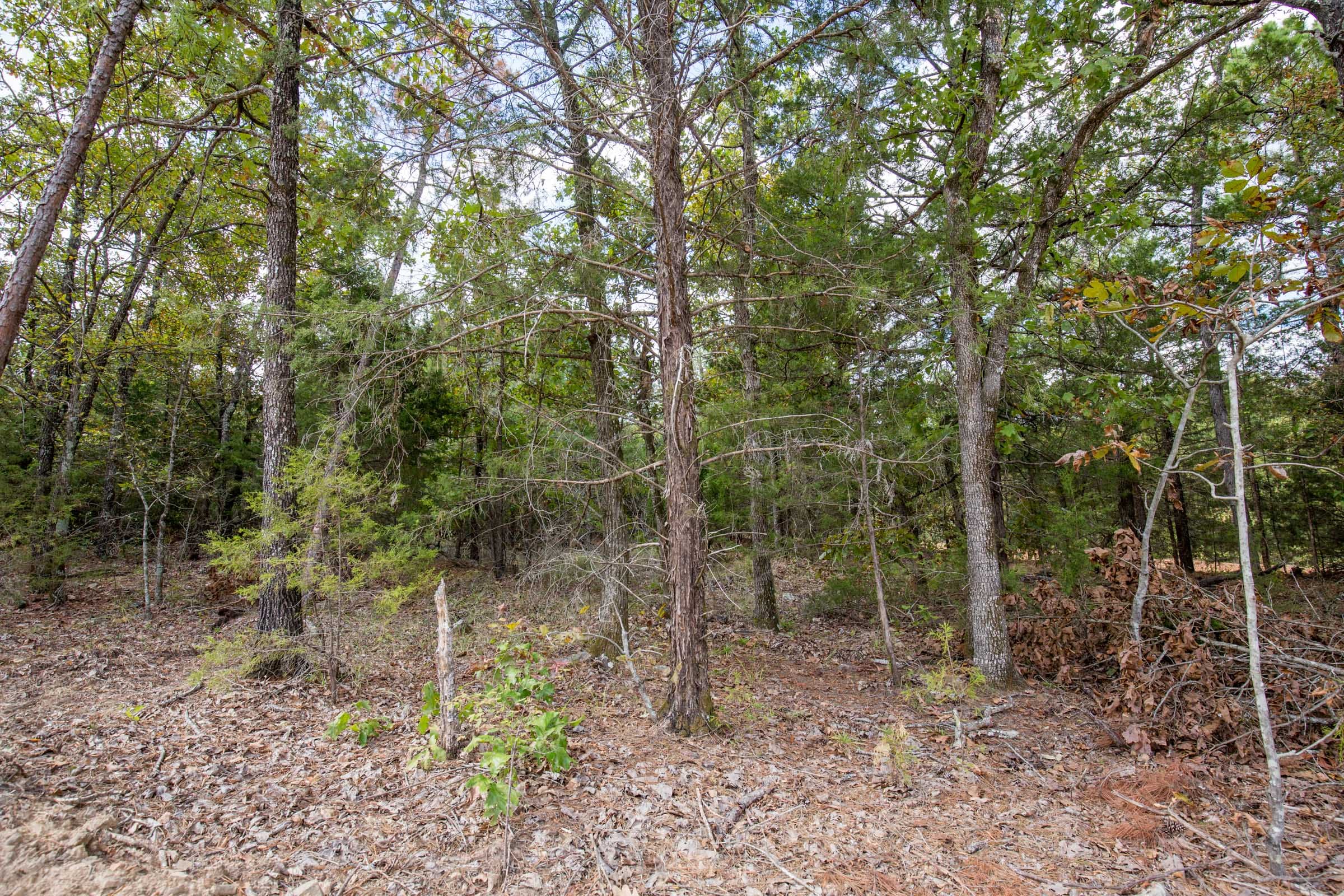 Stone Bridge Phase I Tract 47 photo 7